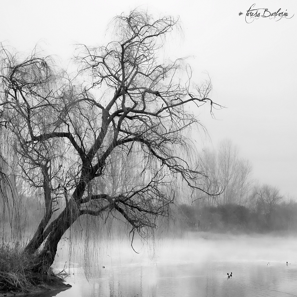 E continuo a sognare