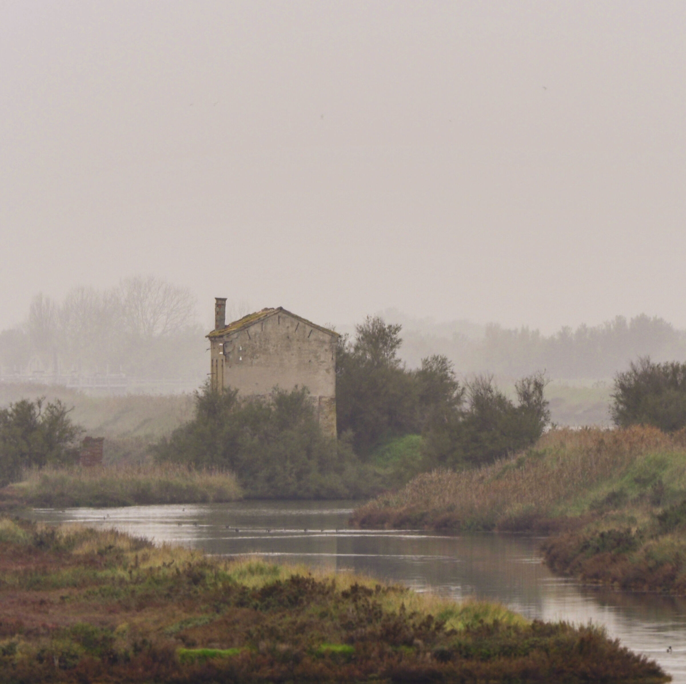 Saline di Comacchio .