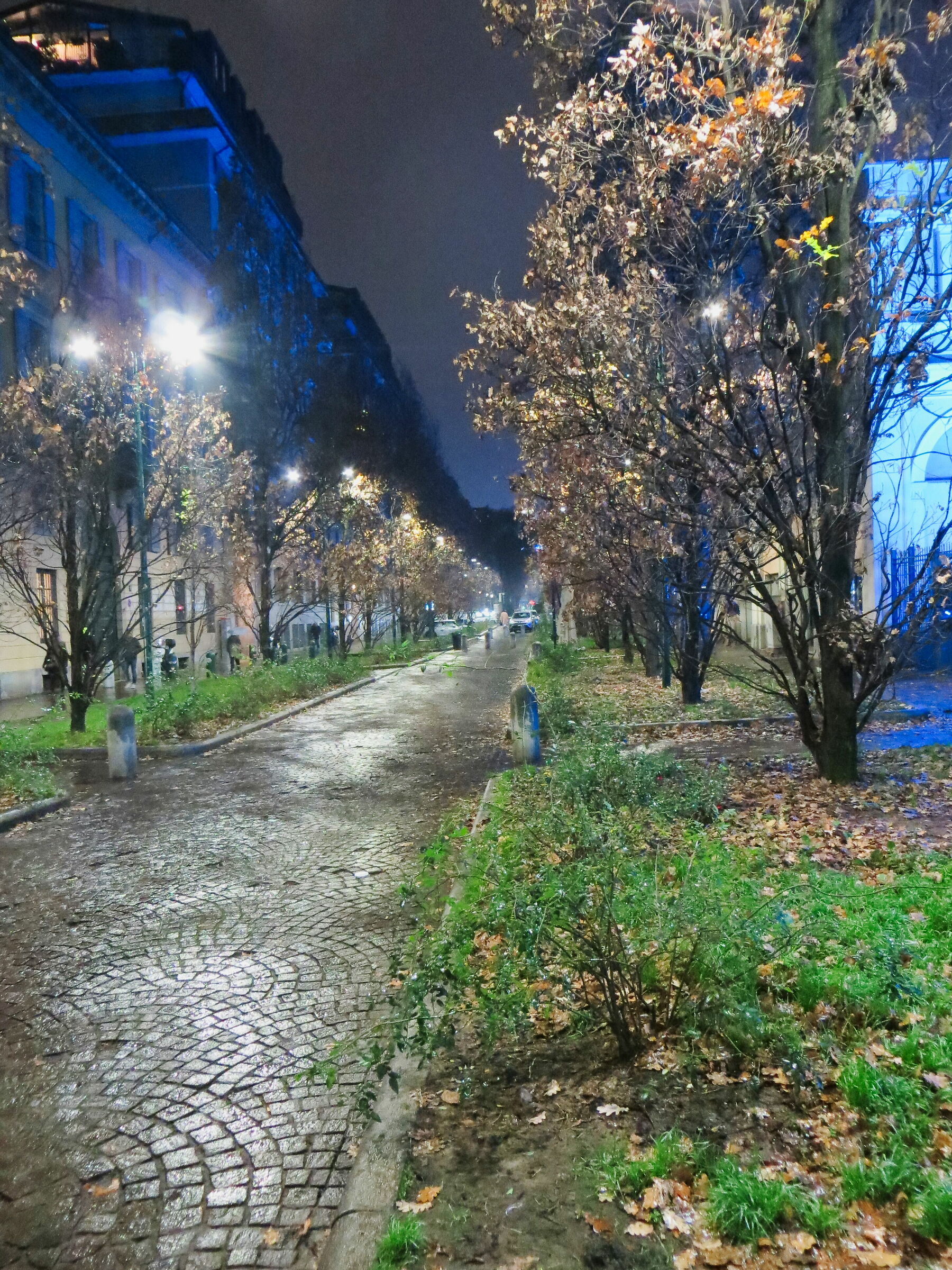 Via Giacomo Puccini - Milan