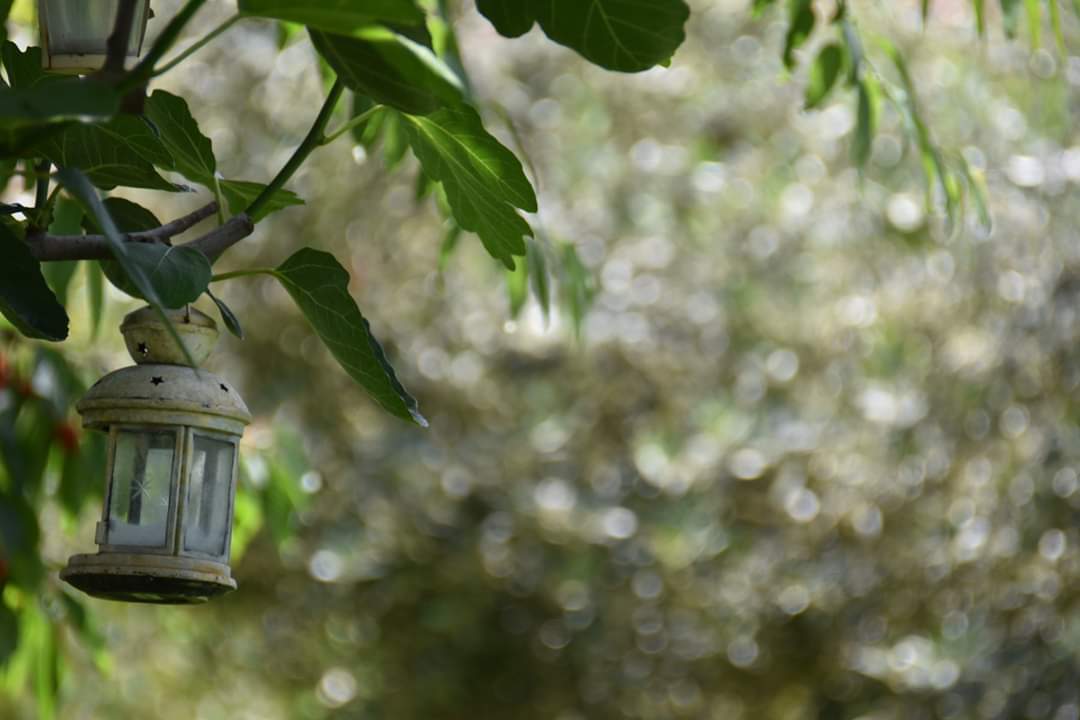 L armonia della natura