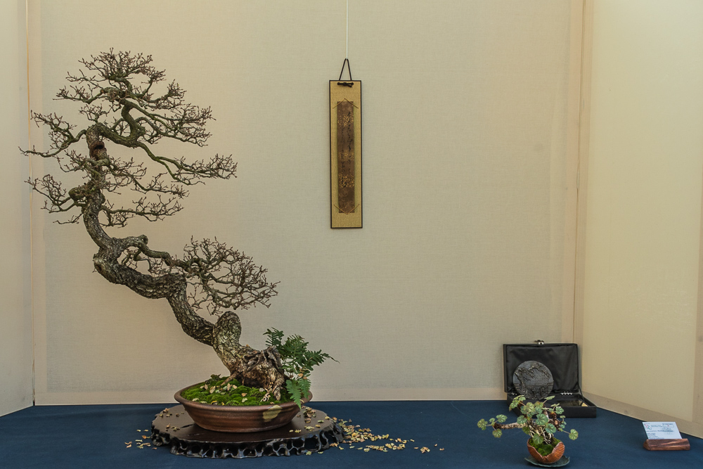 Natura d'inverno (1)