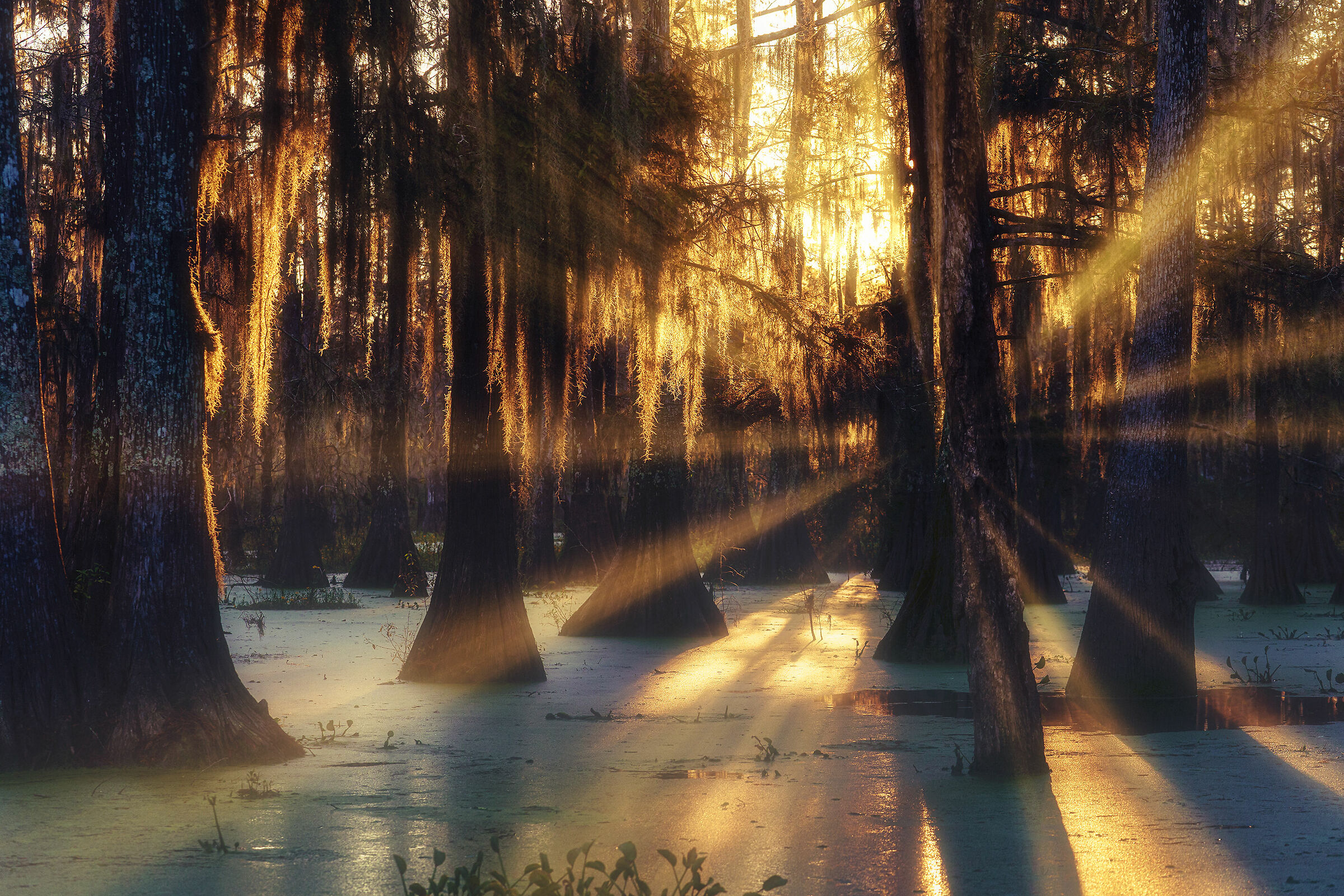 Lights explosion in Bayou-Louisiana