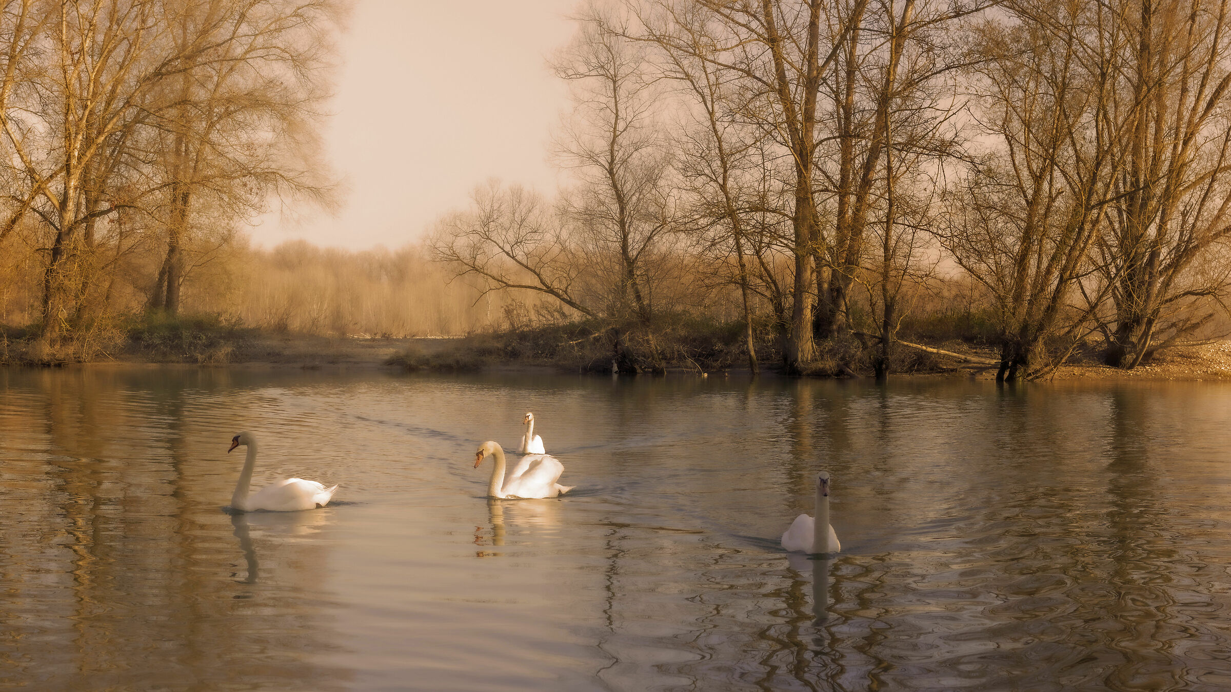 *a gentile richiesta*