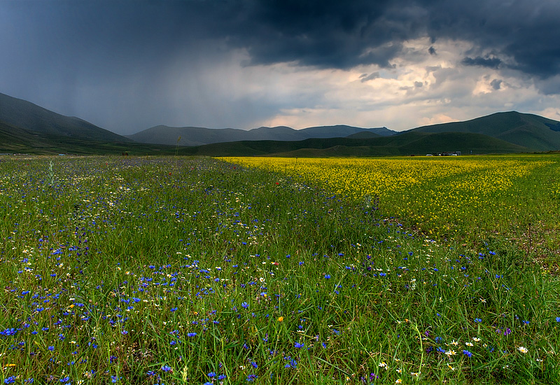 Piana di Castelluccio