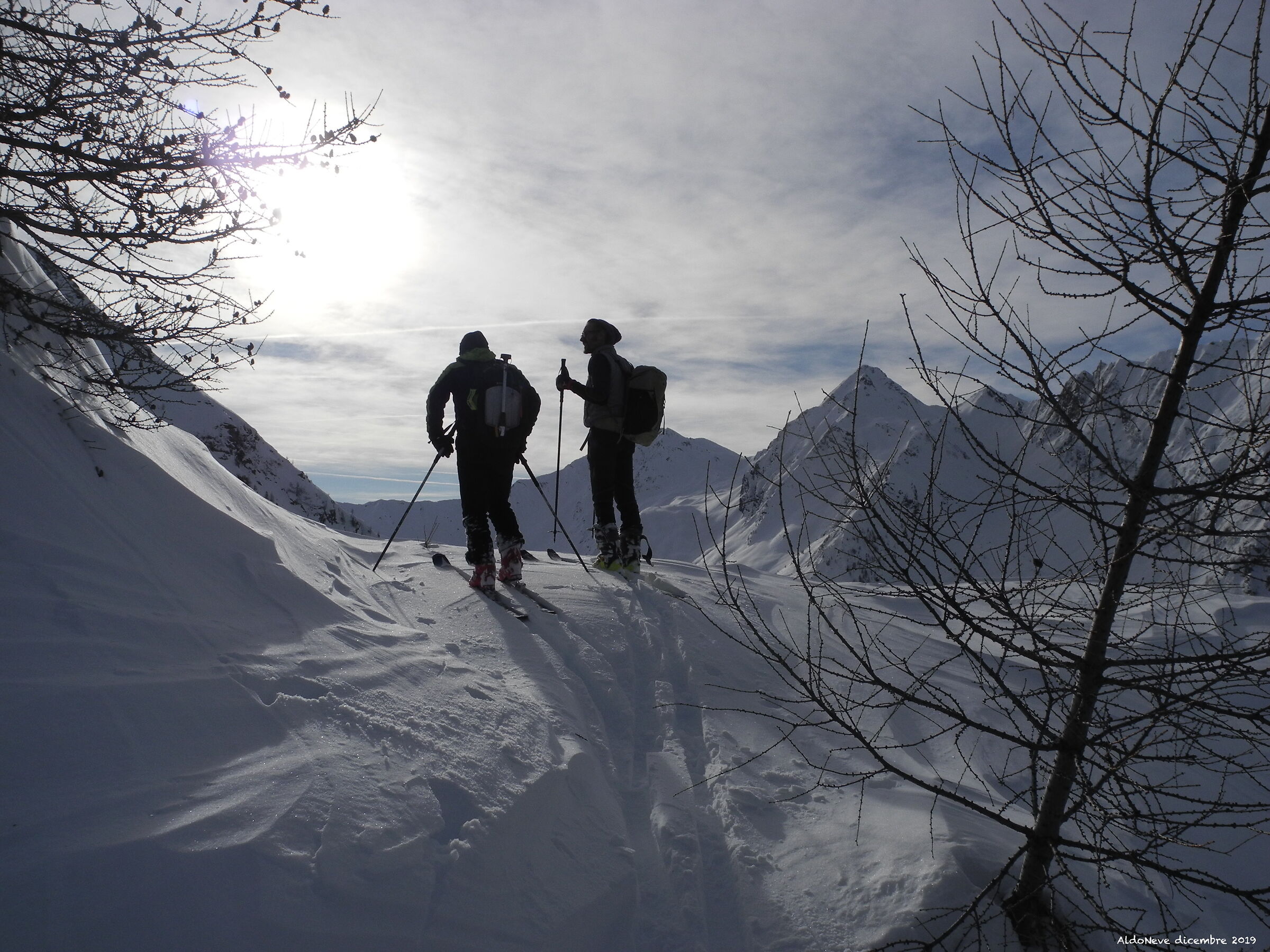 Which way are we going?