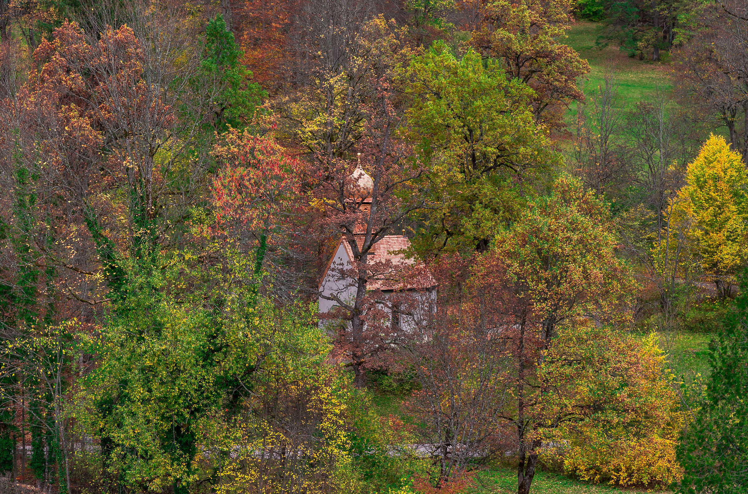 Attempting camouflage