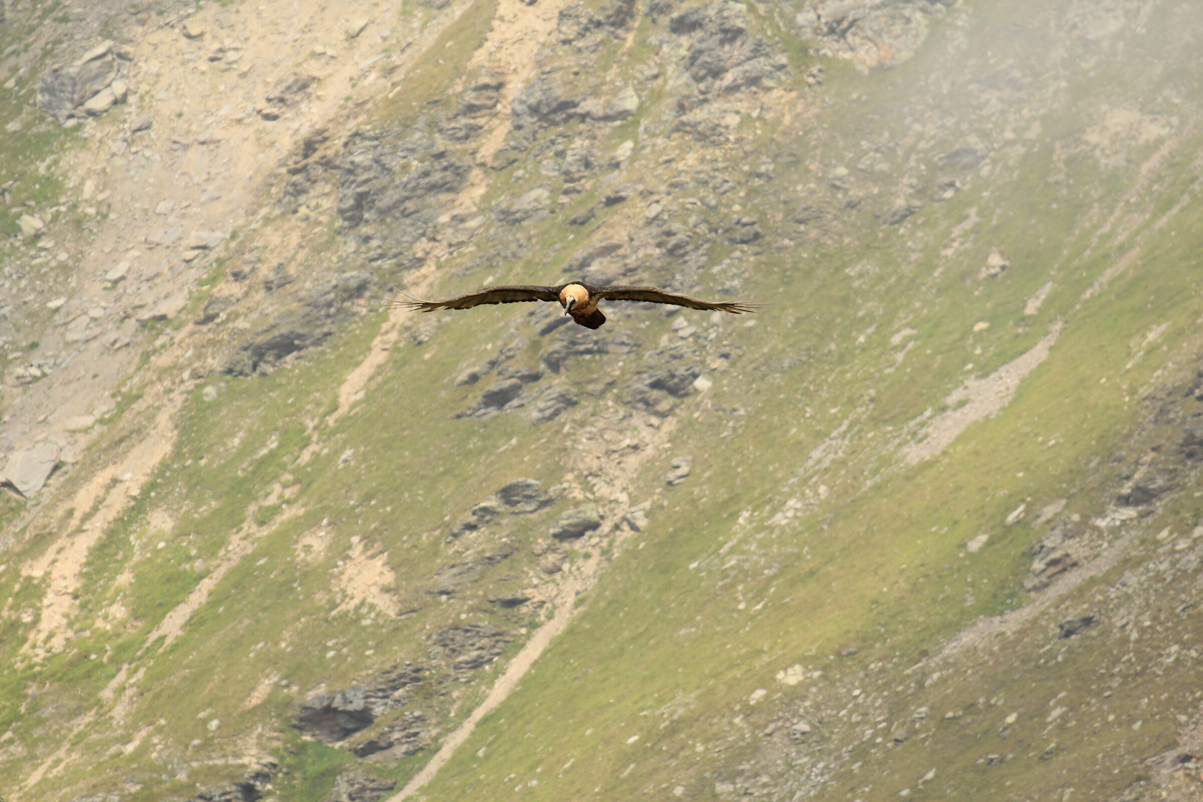 e' lui...non ci posso credere!!! 1di5