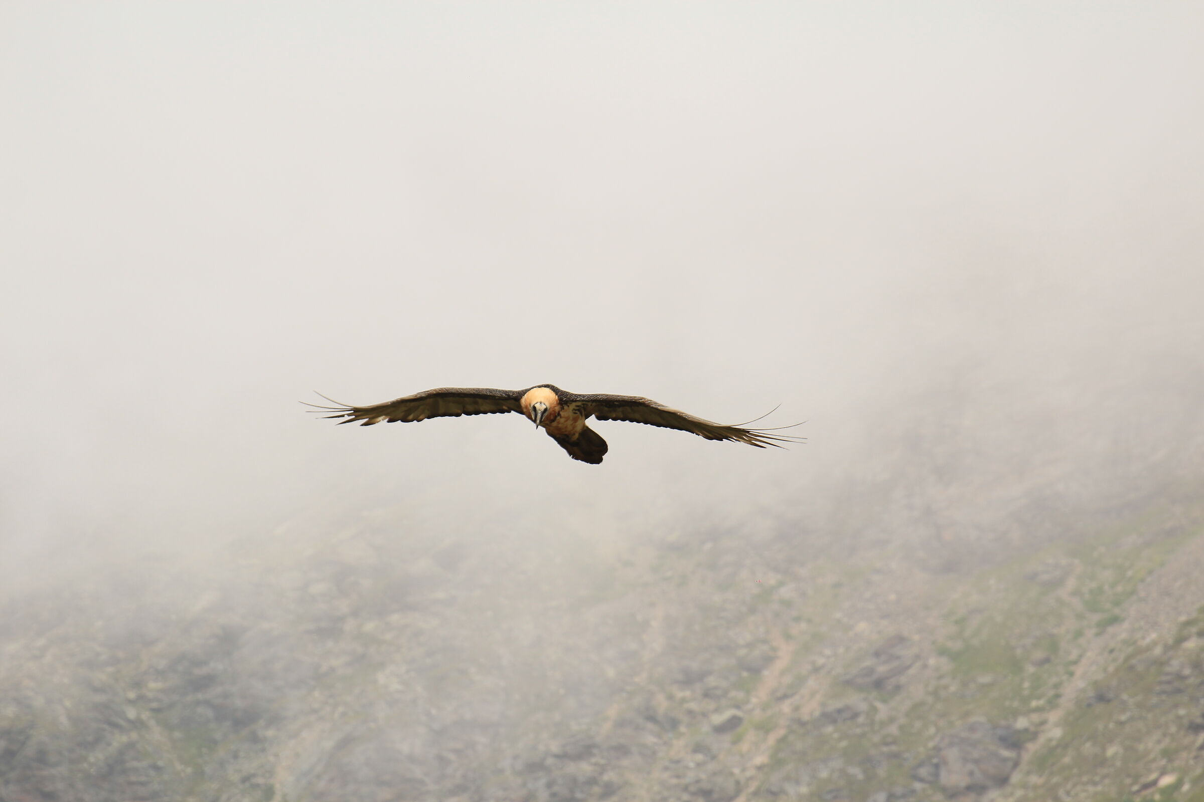 e' lui...non ci posso credere!!! 2di5