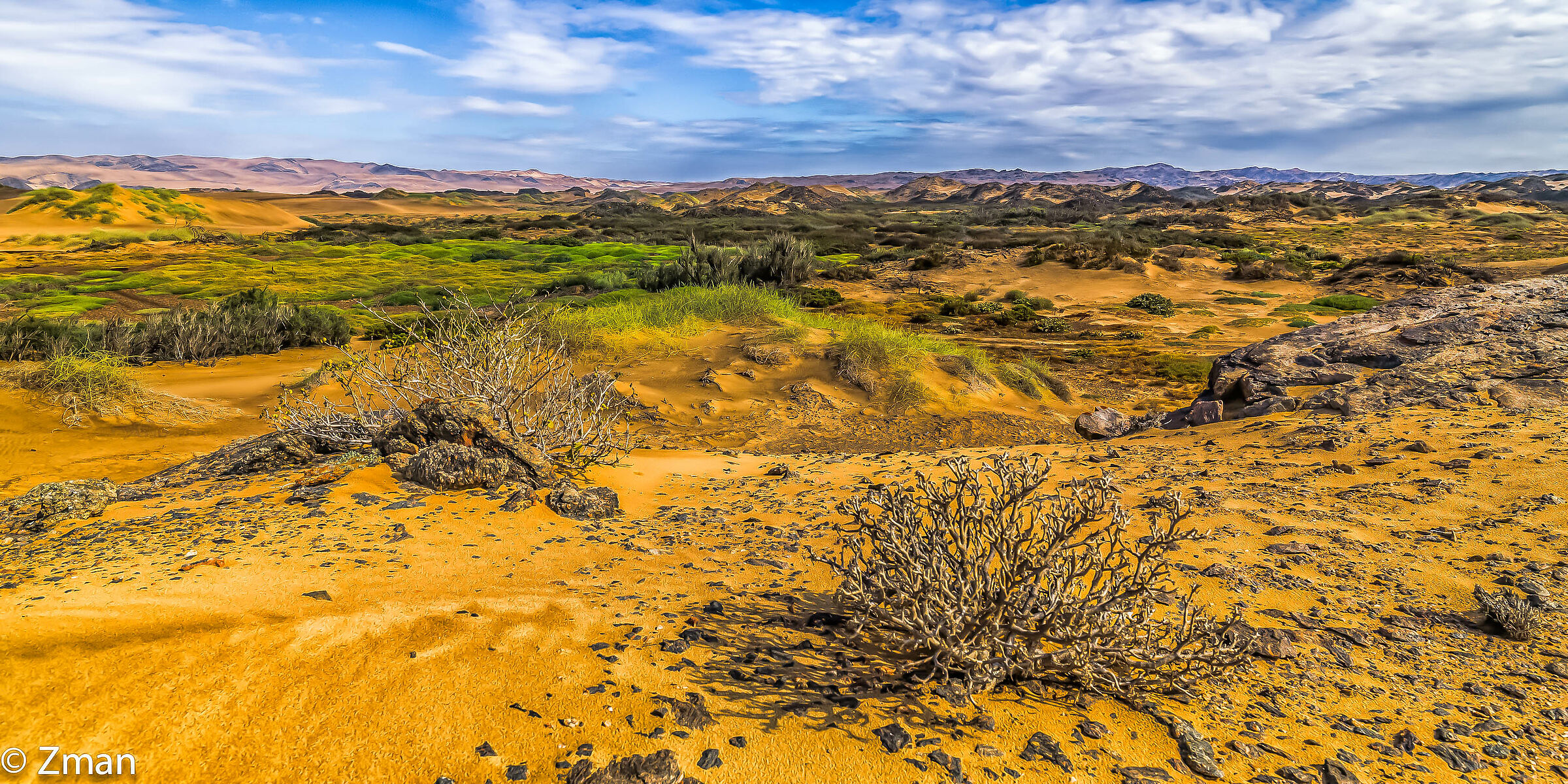 Wild Namibian Landscape