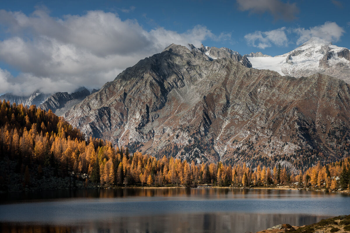 Dai larici alle nevi ...