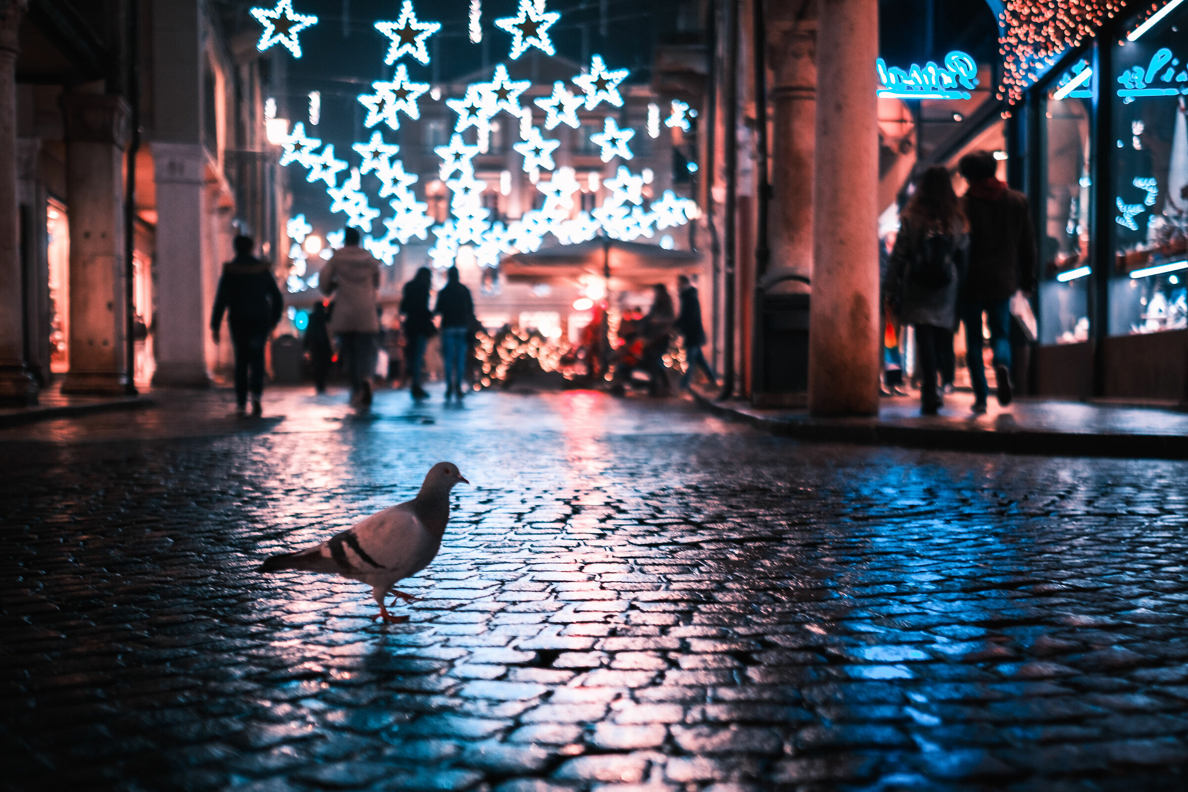 Per le vie di Mantova