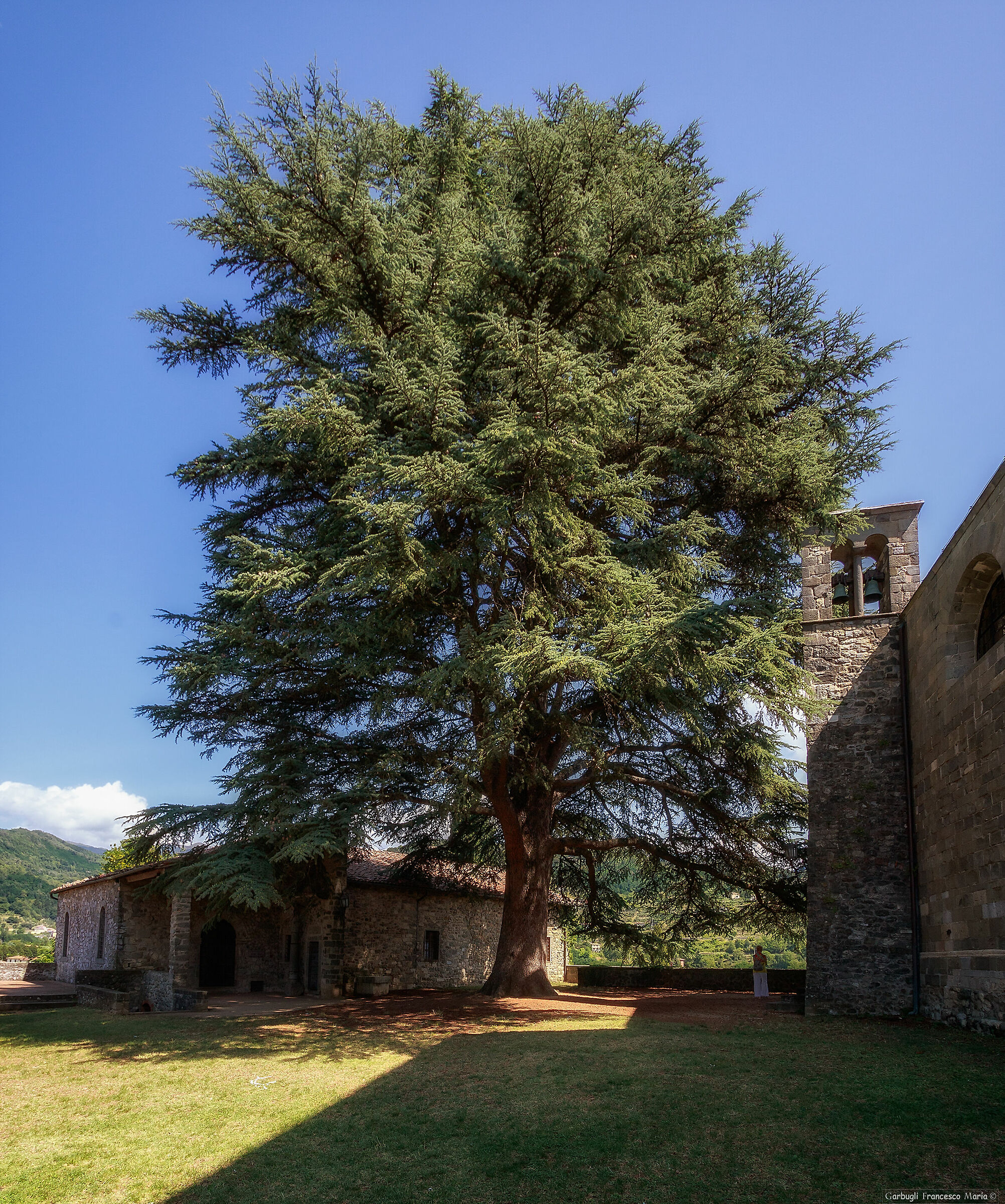 Imponenza verde a Barga