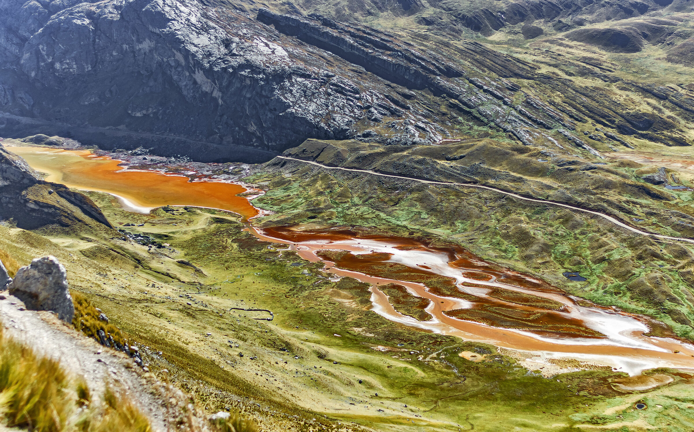 Psychedelic Carretera