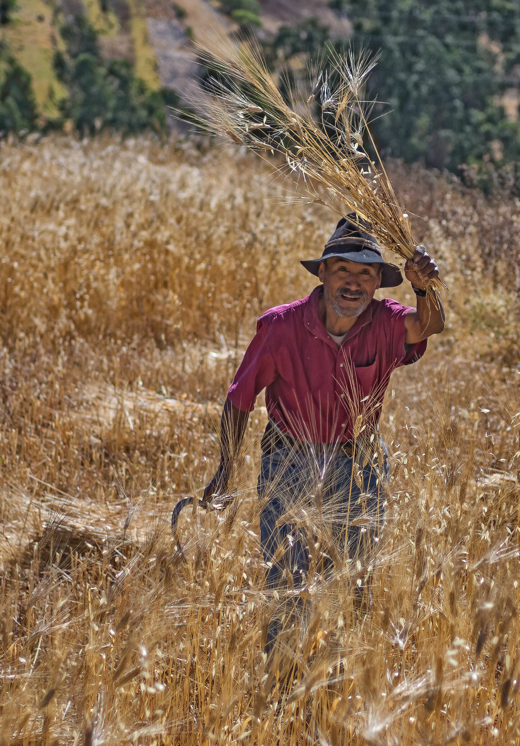 Un saluto dal (piccolo) mietitore
