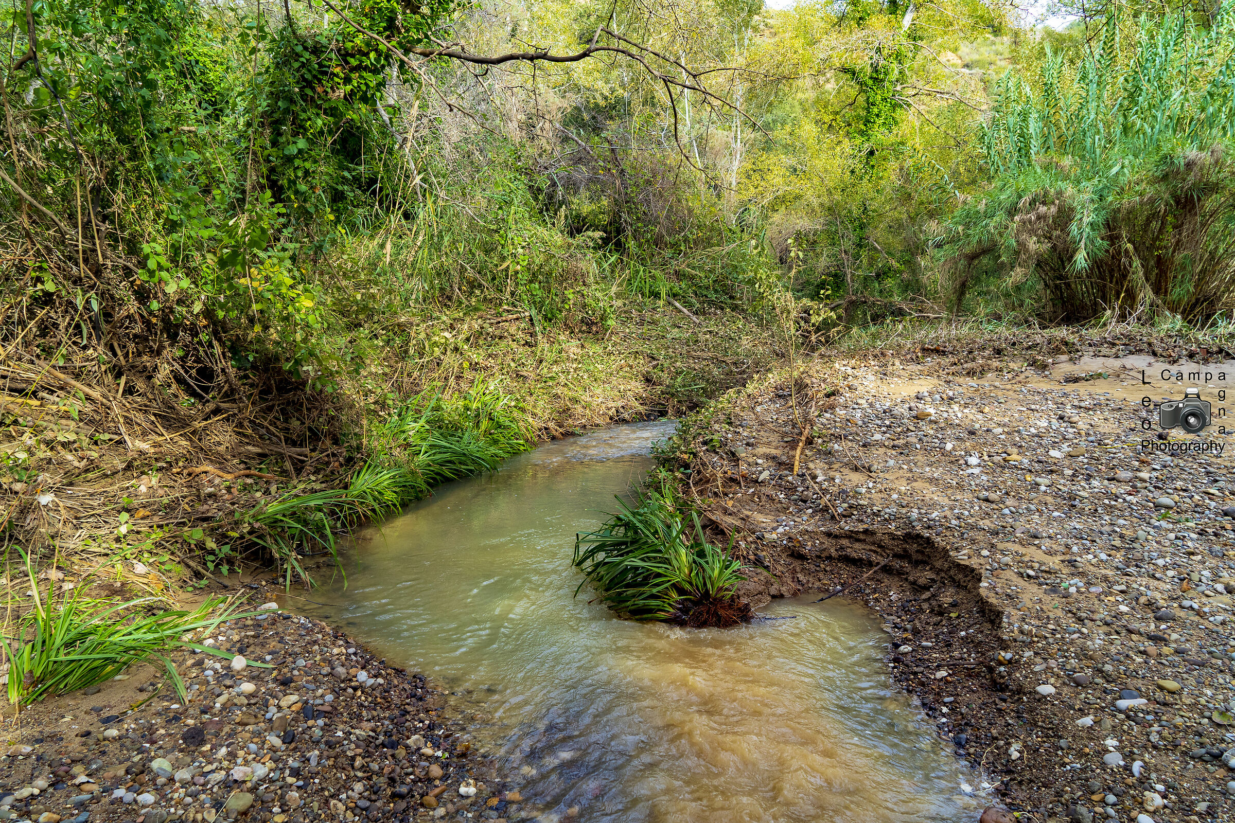 Bosco Bufala...un posto speciale