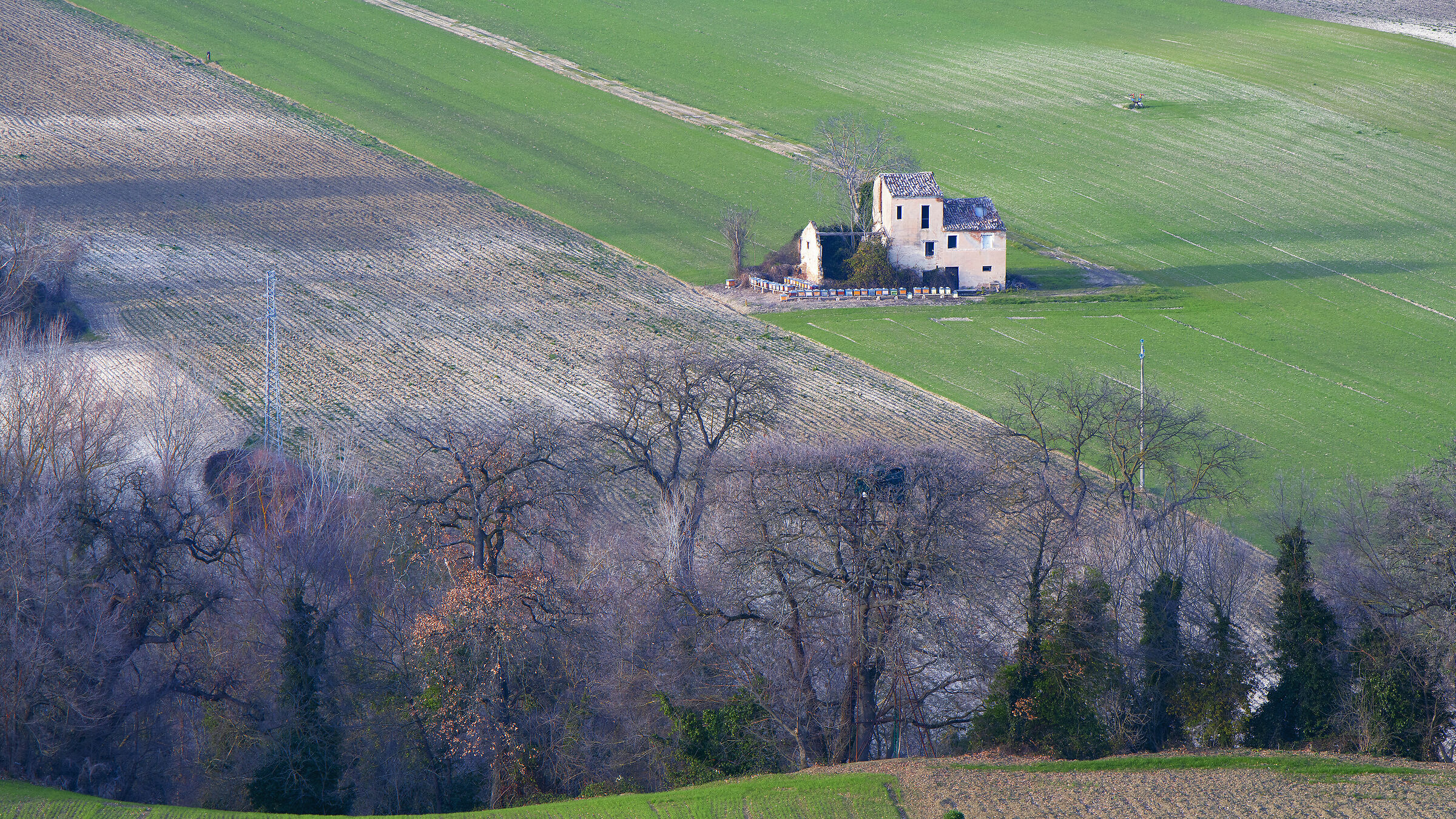 La casa delle api ...