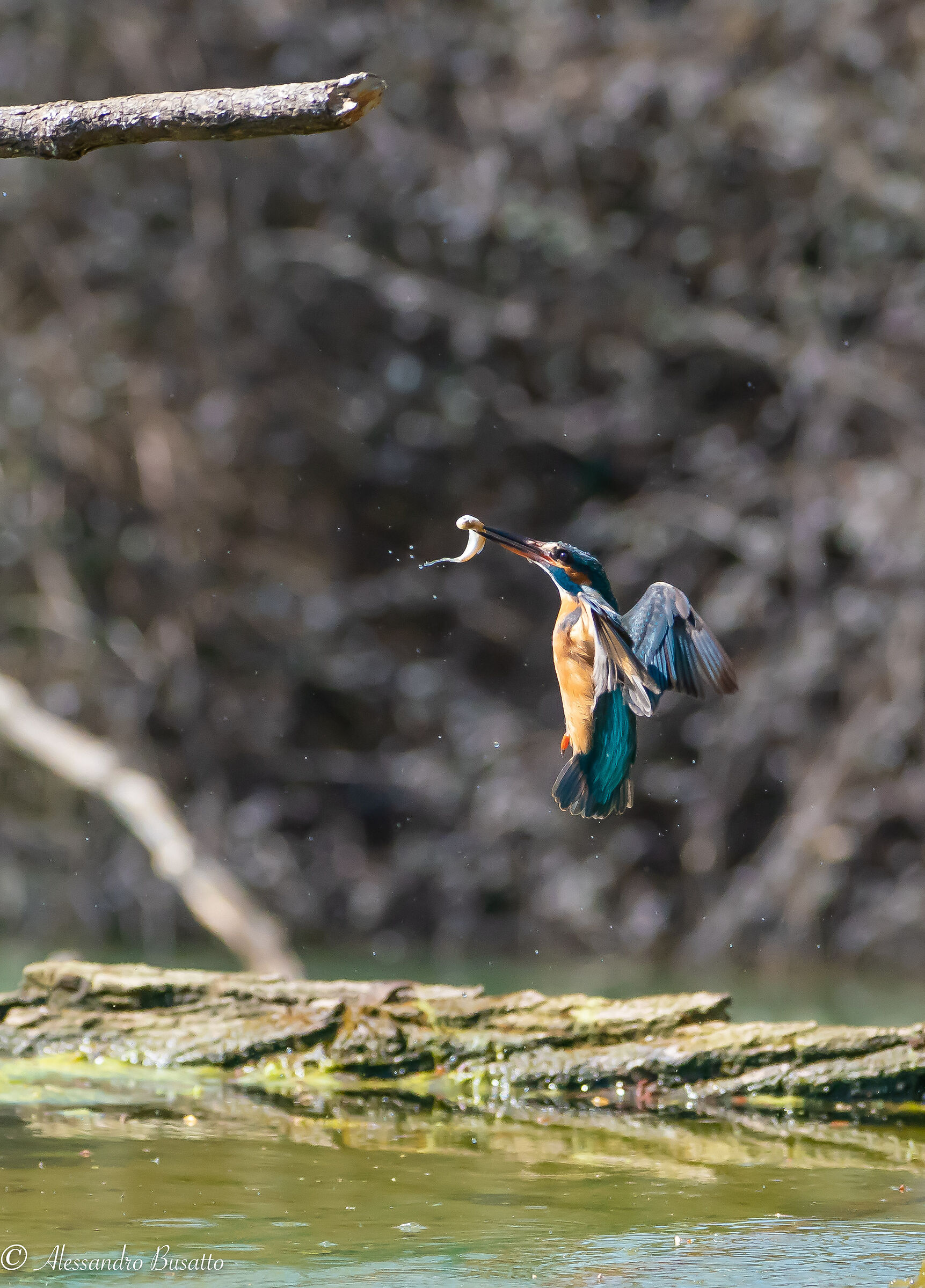 What a struggle to climb with this weight