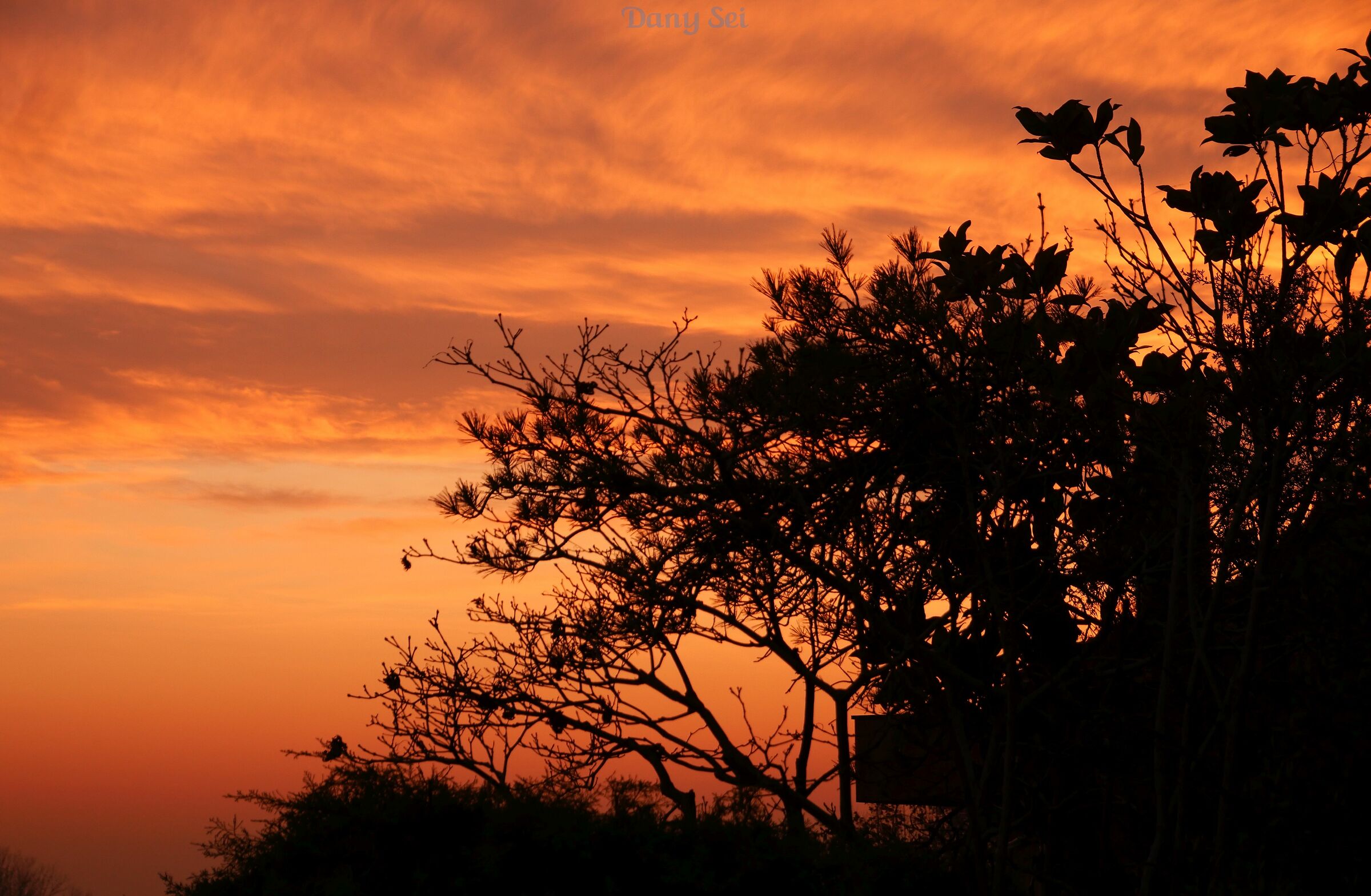 One of the few sunsets of December 2019