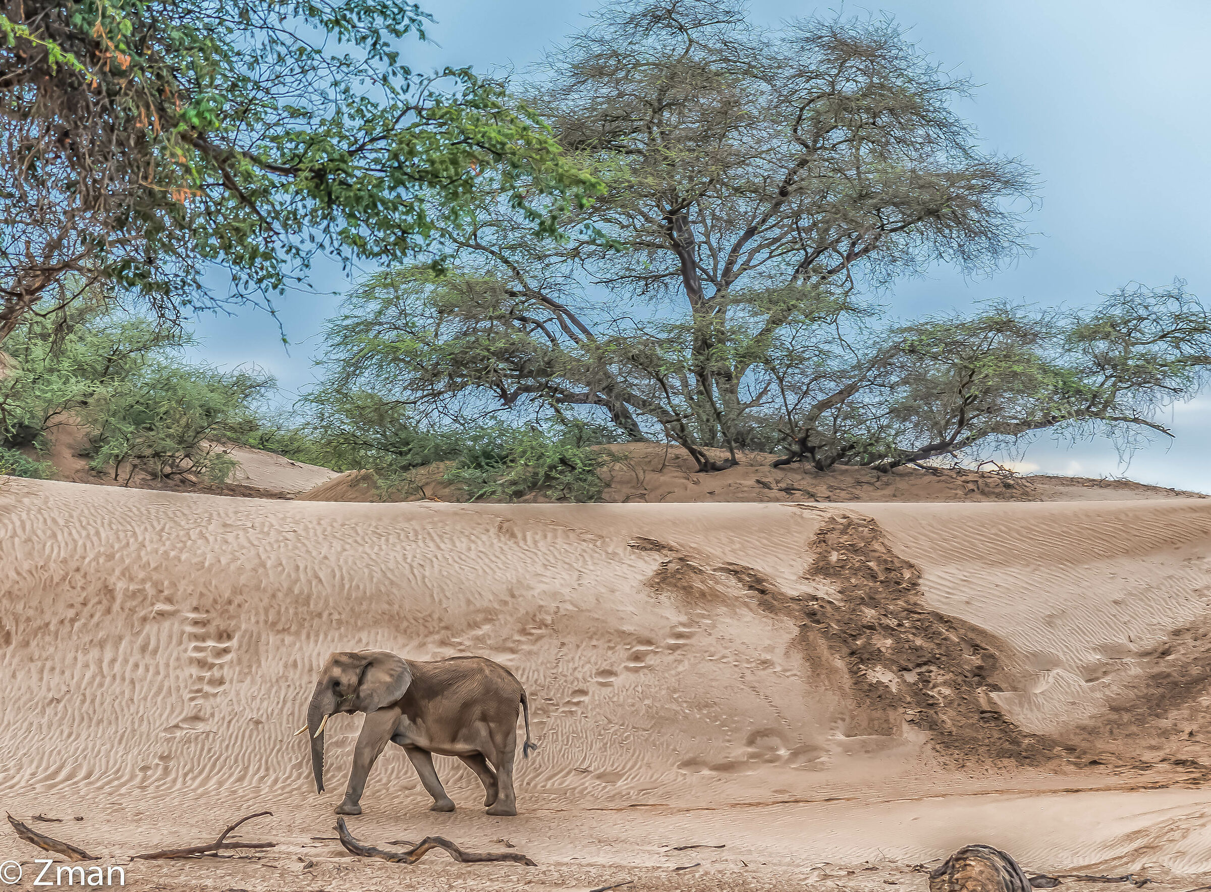 Deserto Grande Piede
