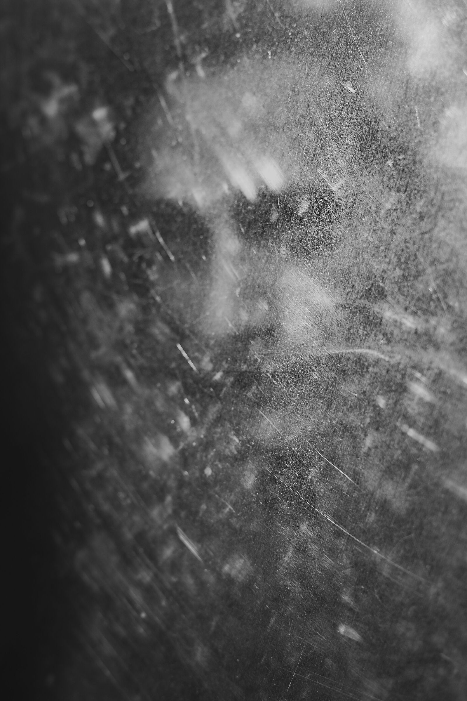 Self-portrait on land