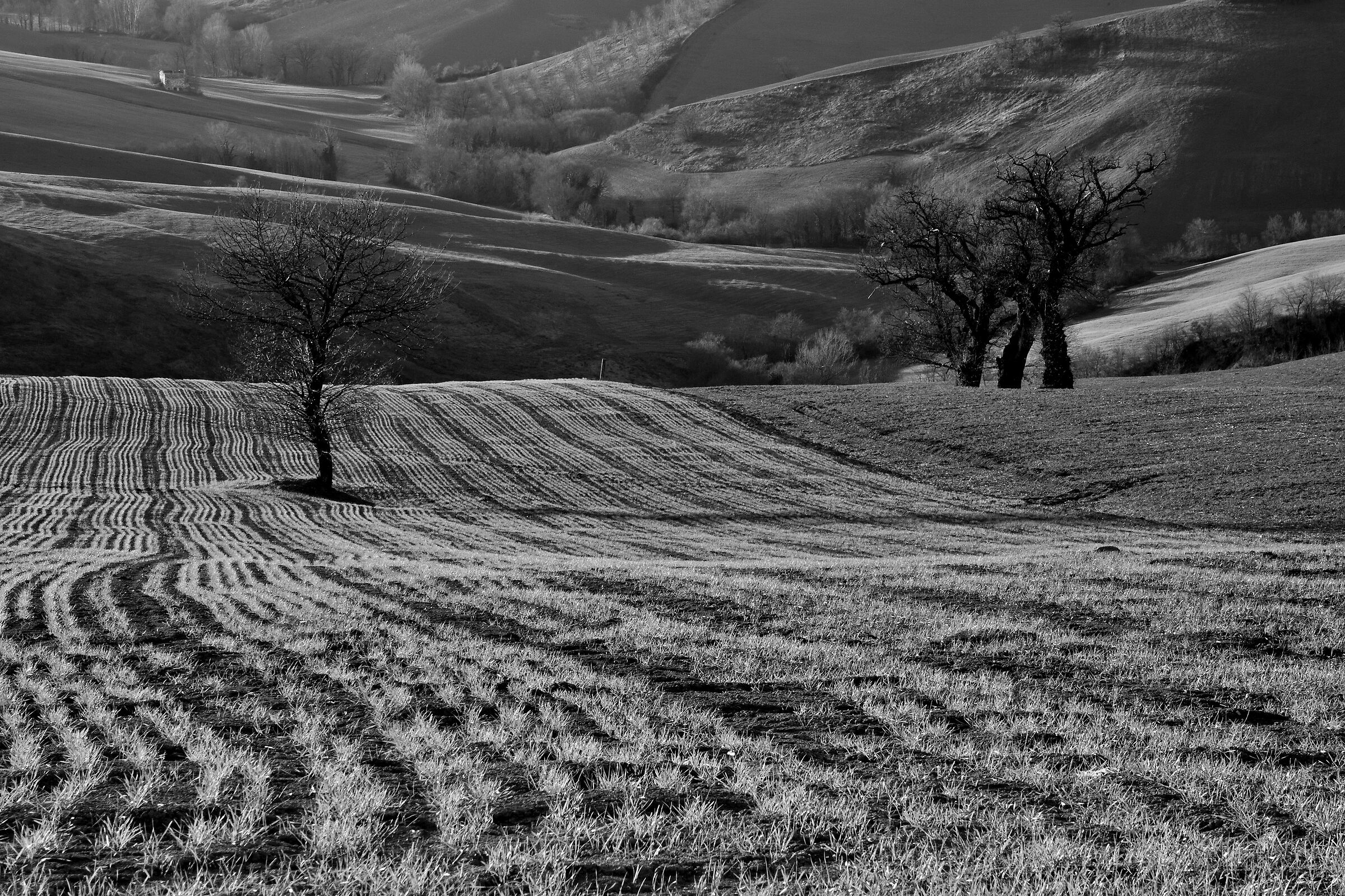 The beginning and the end