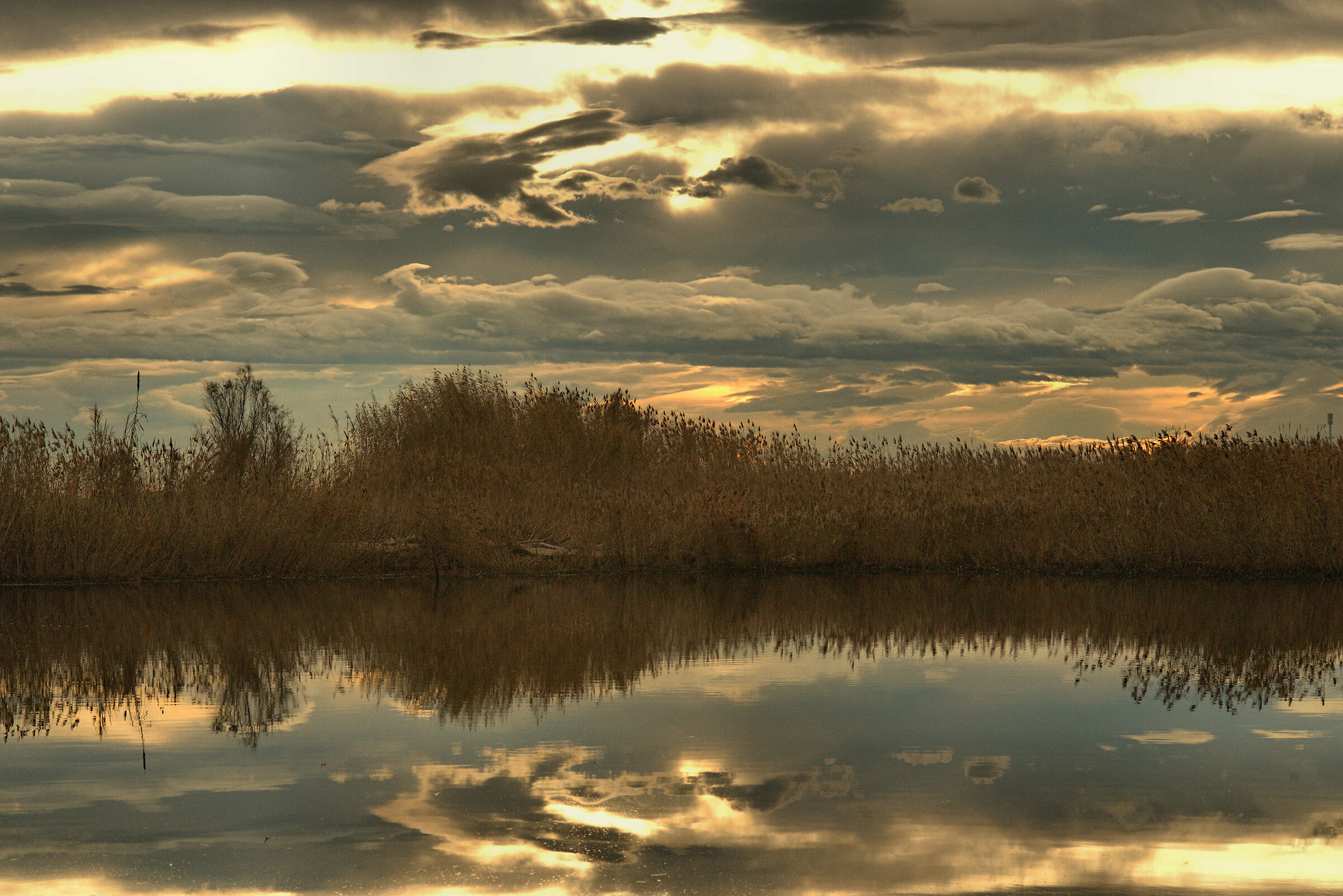 Riserva Naturale Sentina