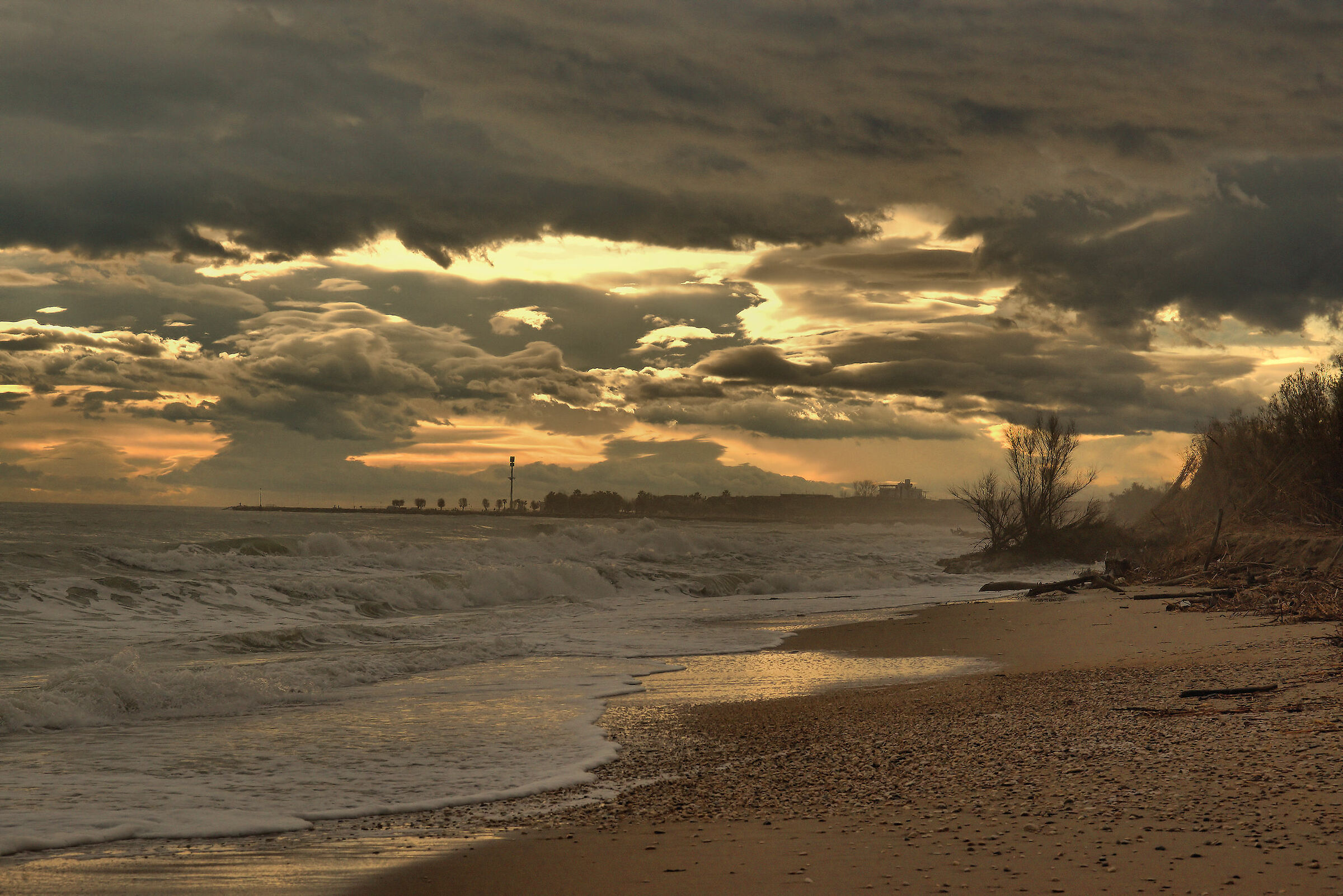 Riserva Naturale Sentina