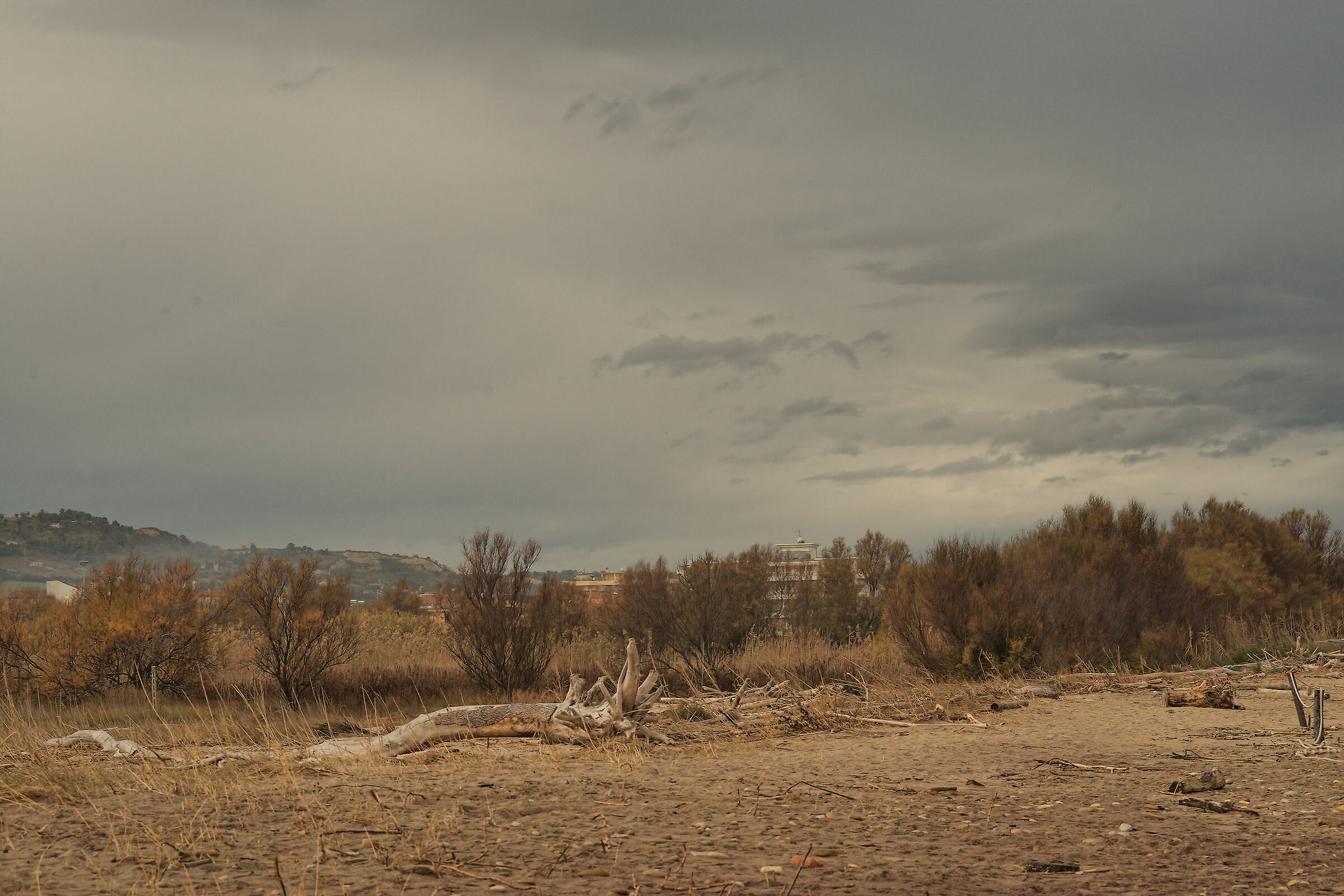 Riserva Naturale Sentina