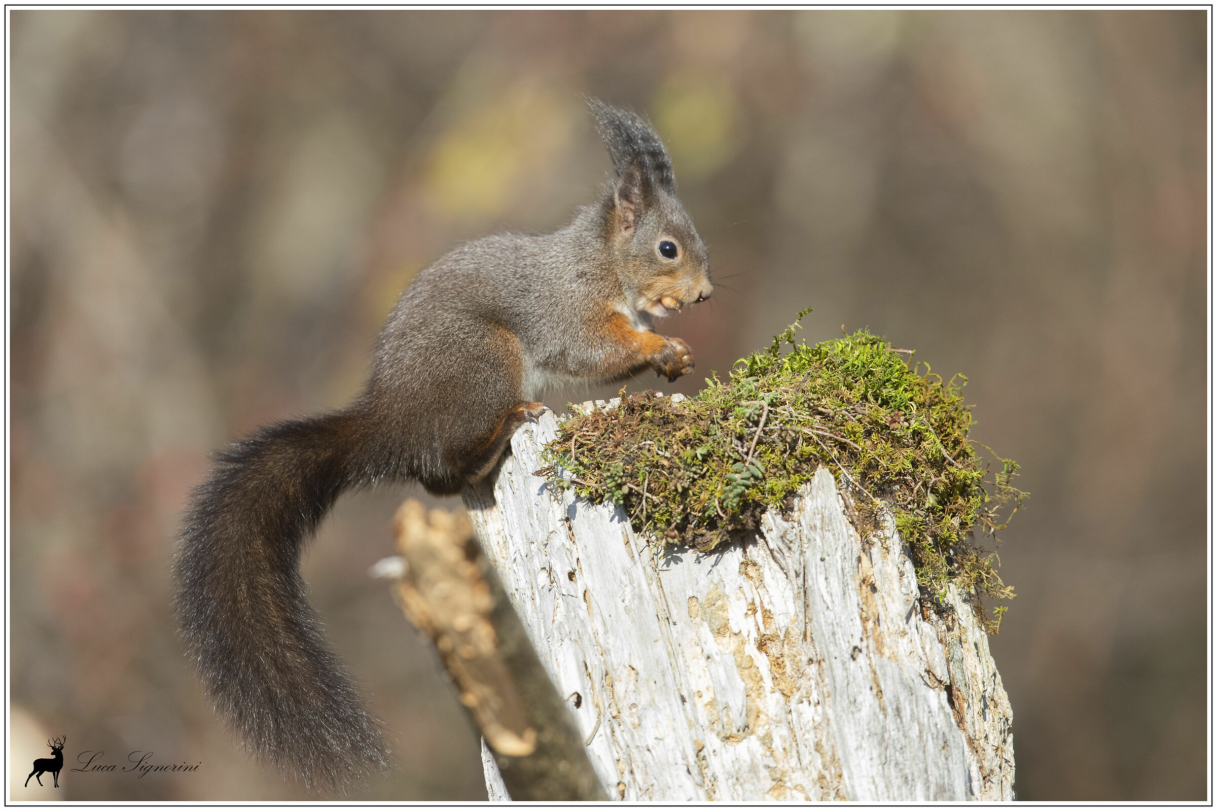 stocking up for the winter