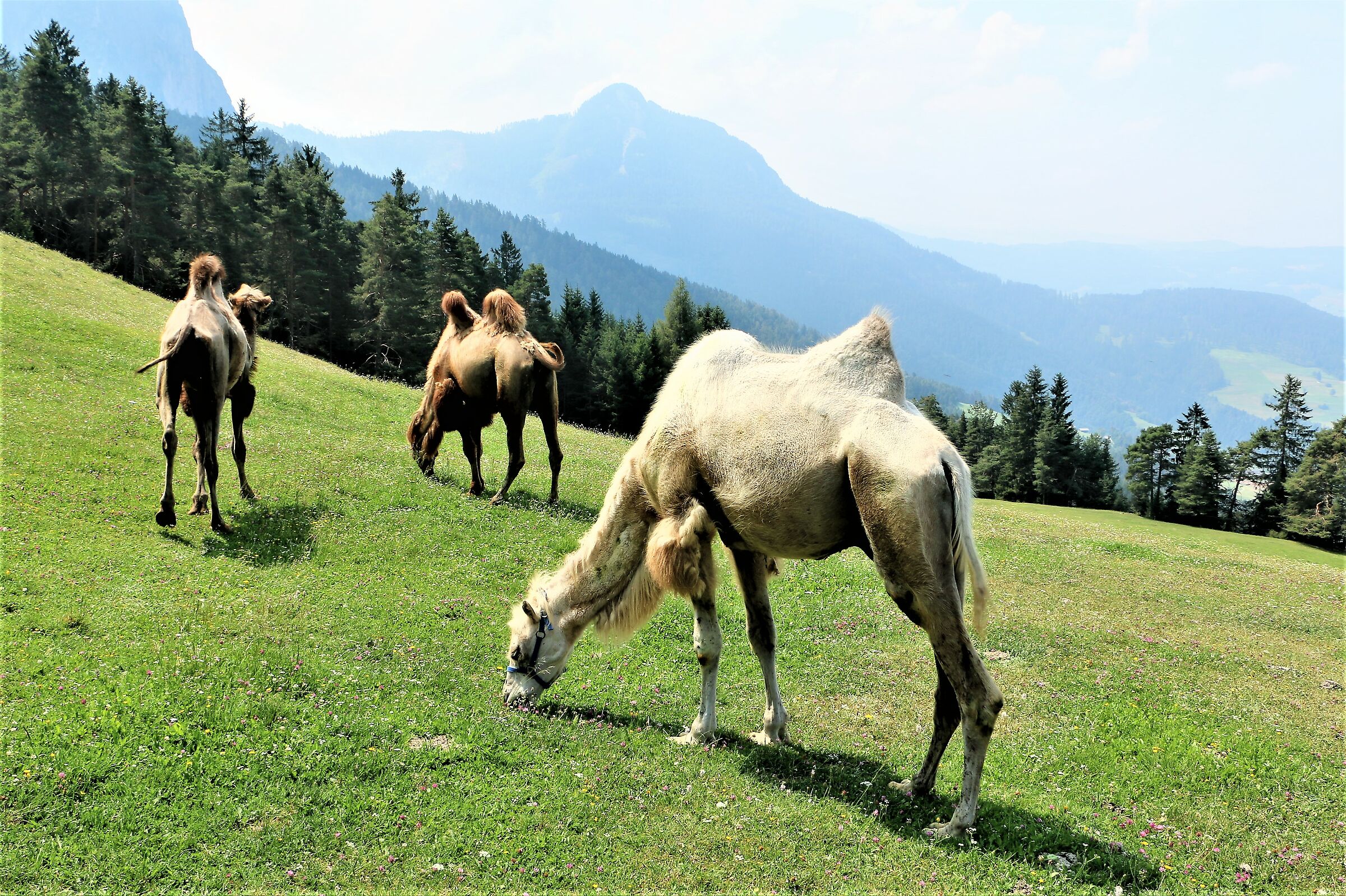 I can't believe it........