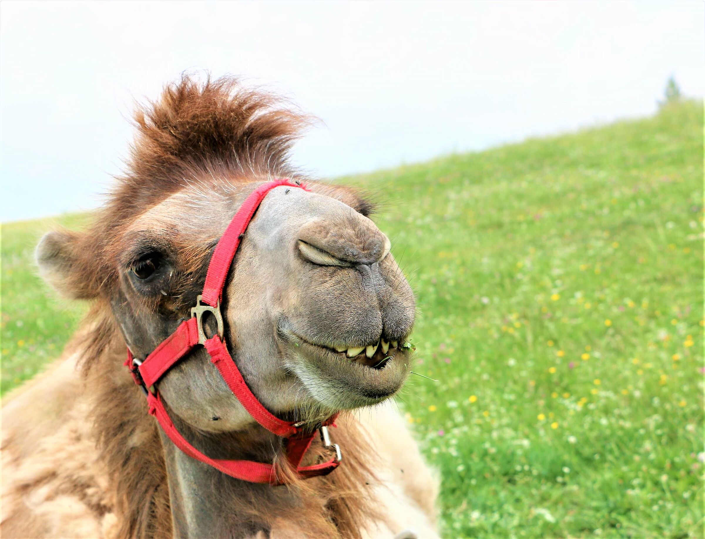 I can't believe it...- 2 -