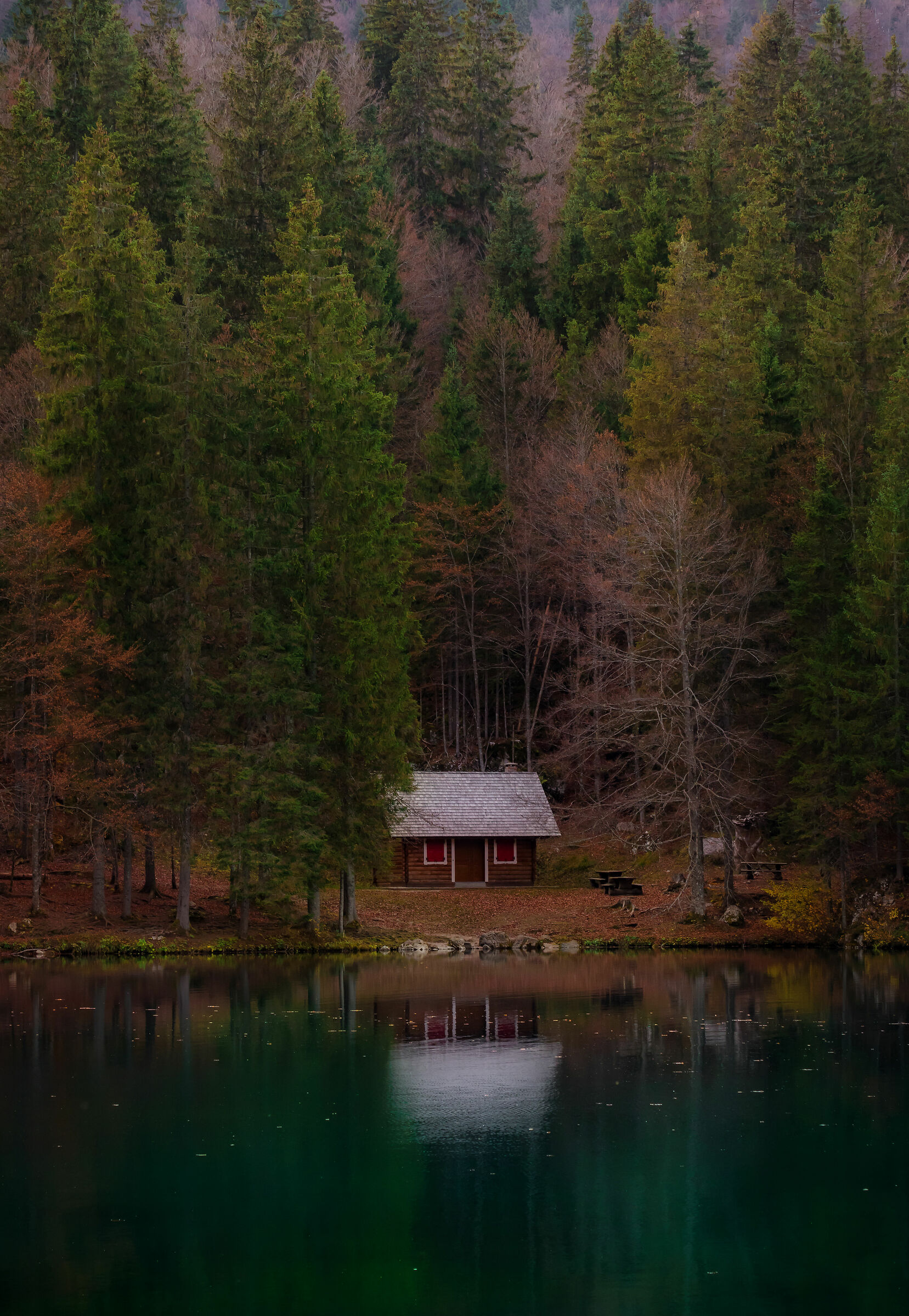 That house in the woods