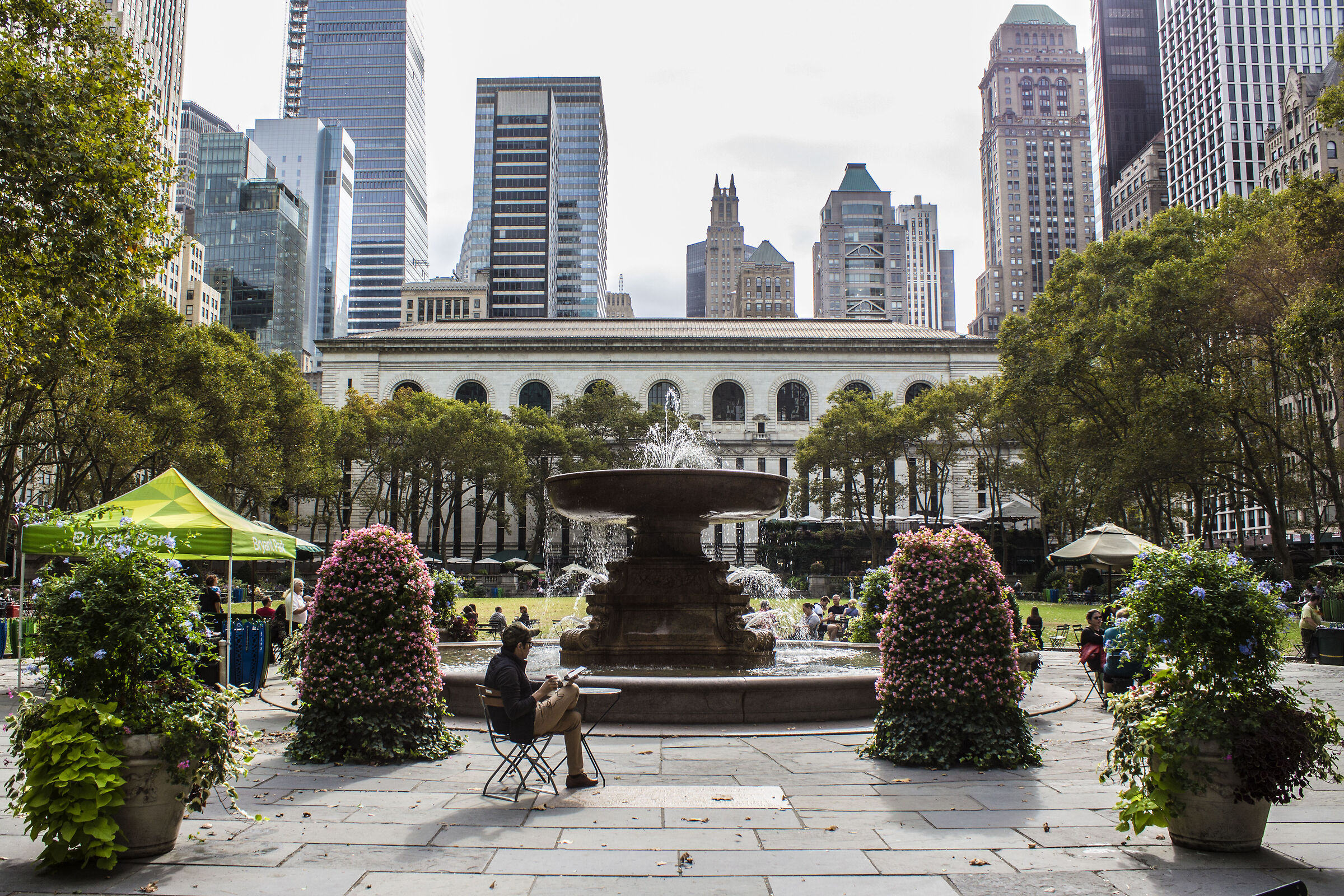 Island in the metropolis