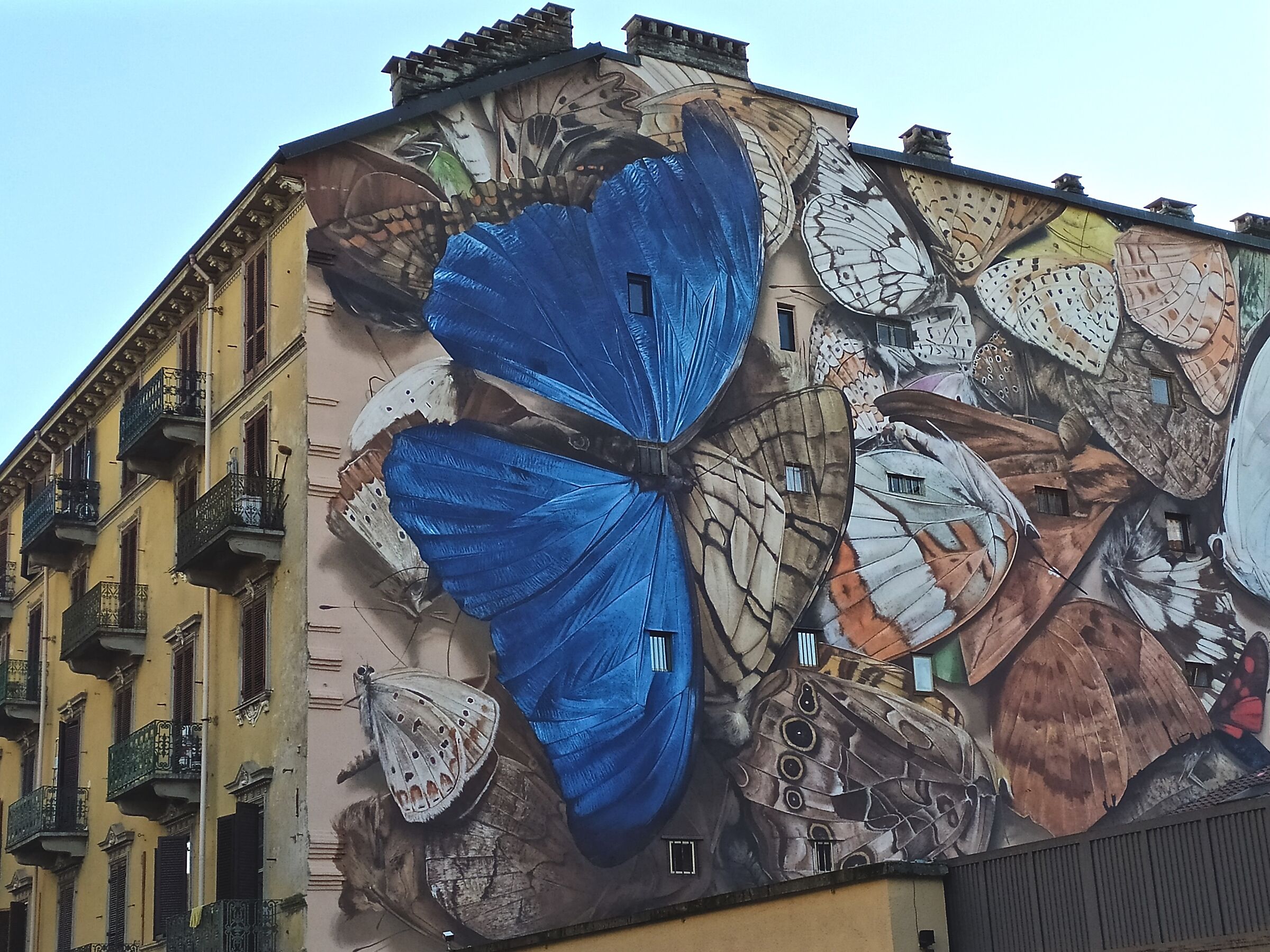 Turin Street Art