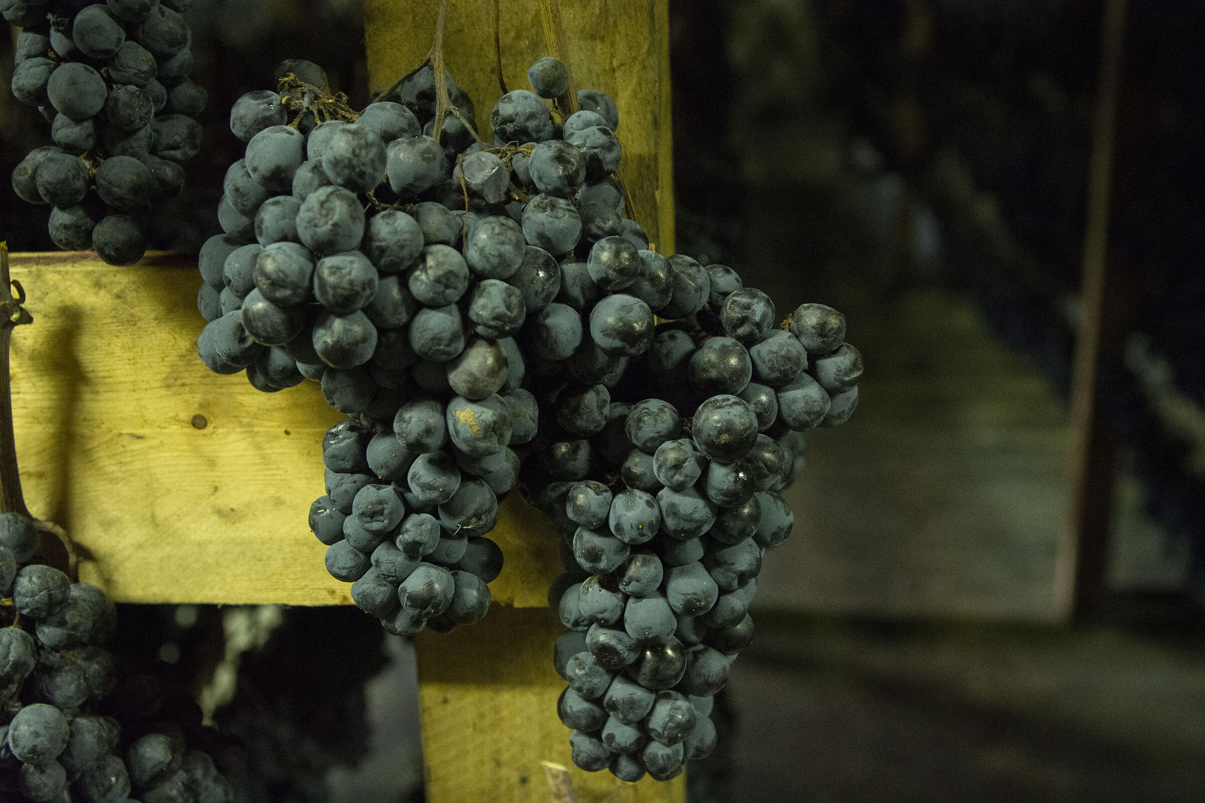 Wonders of wine-related nature