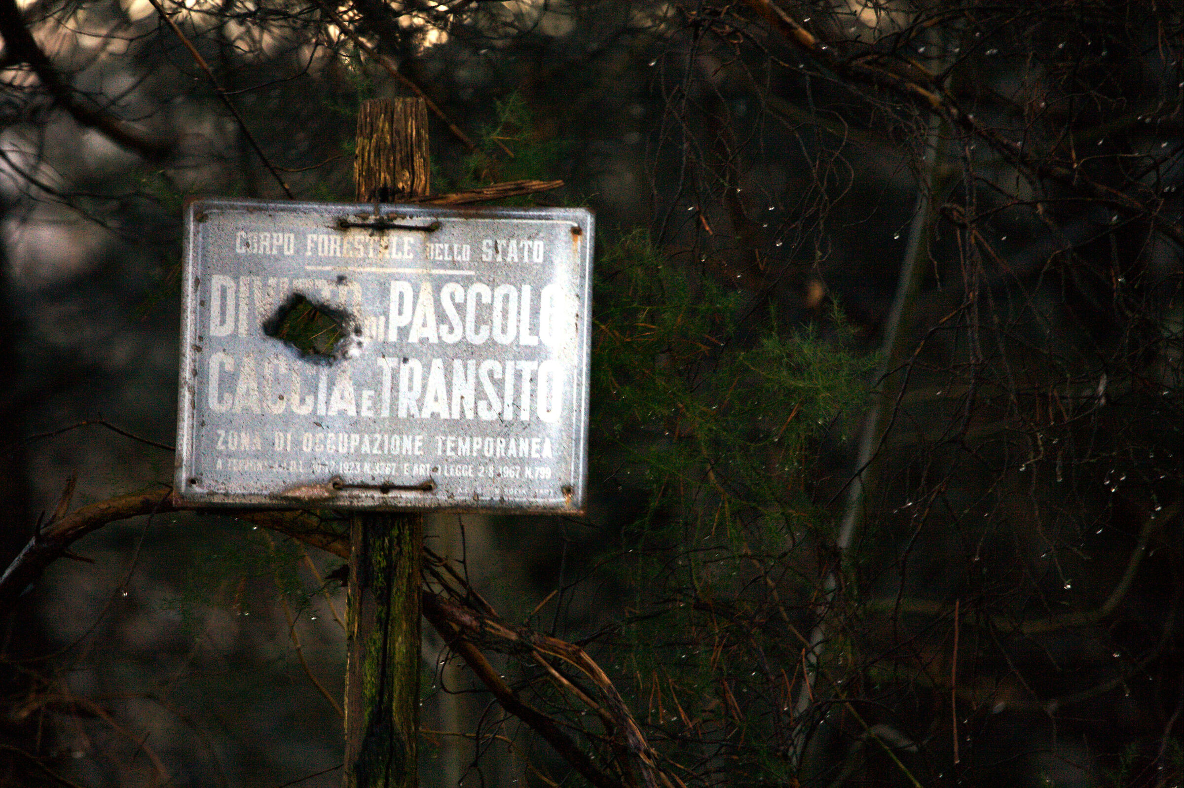 Prohibition of grazing