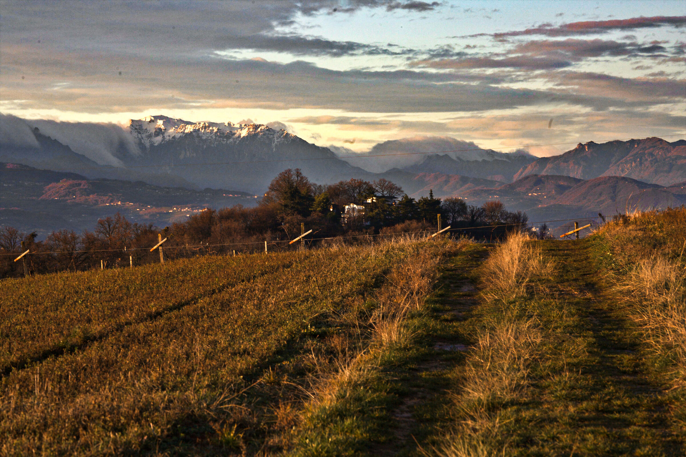 Road to the mountains