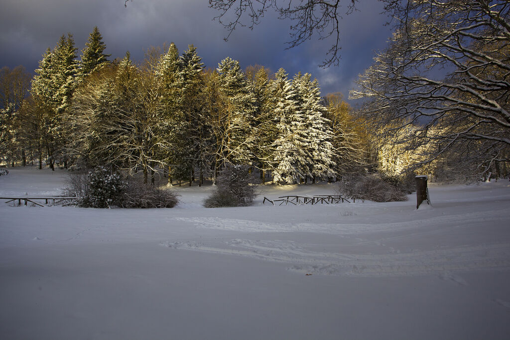 And finally winter comes...