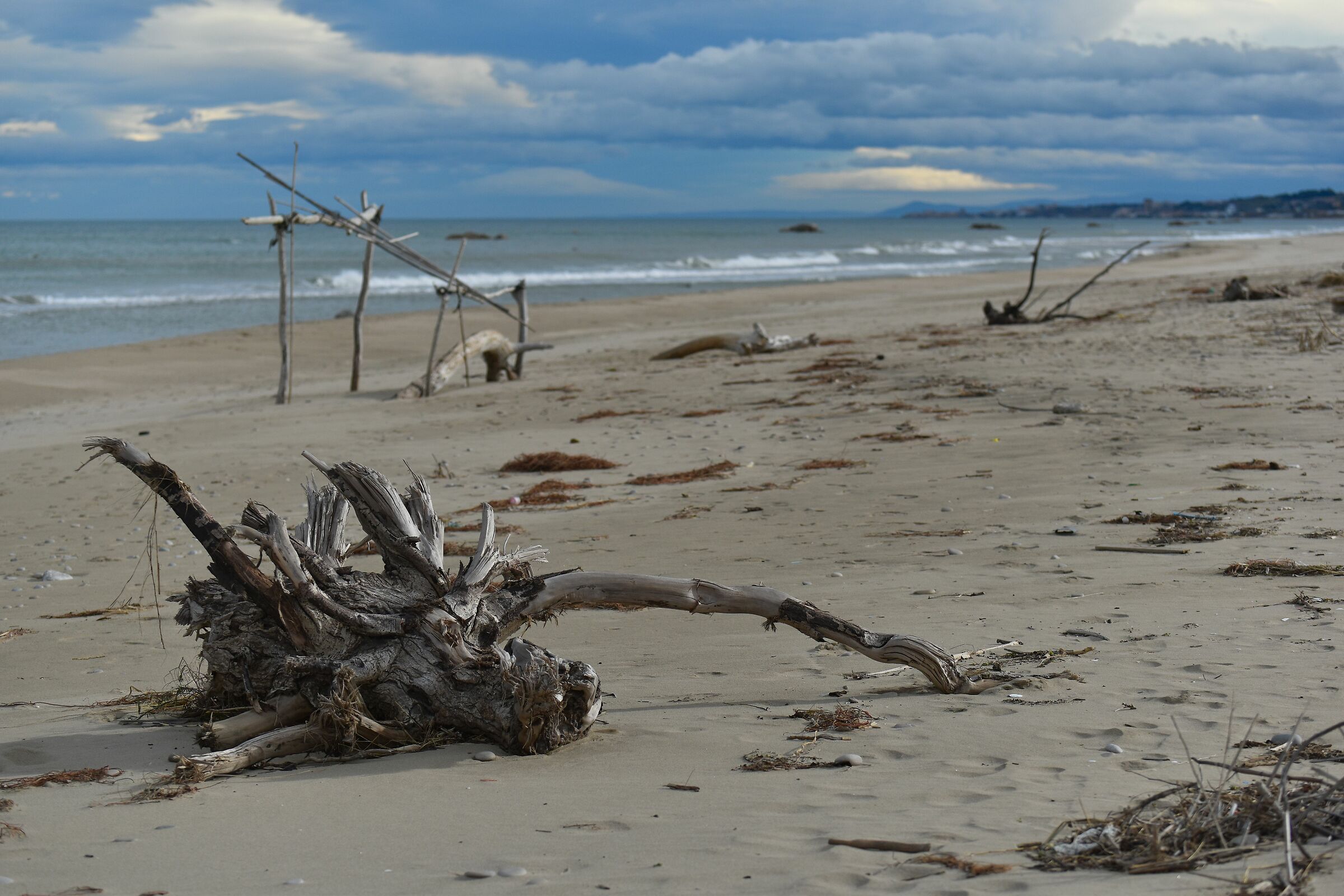 In cerca di Robinson