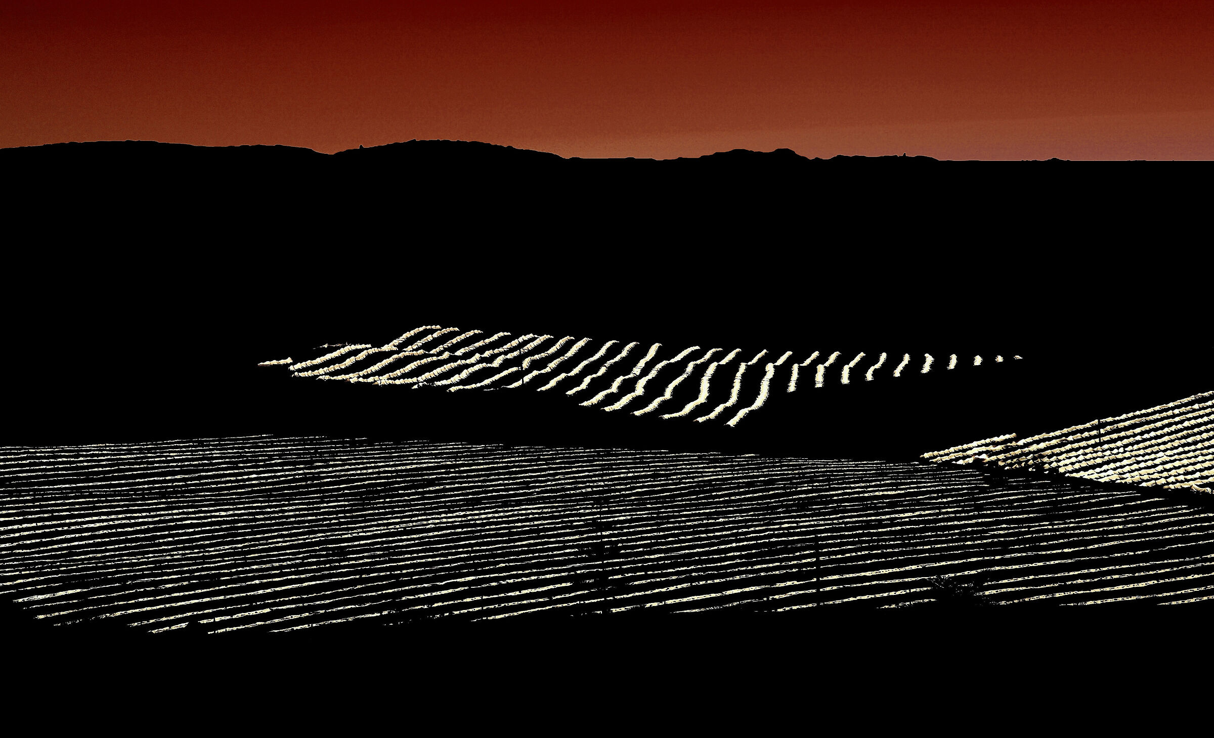 Alba sulle coltivazioni