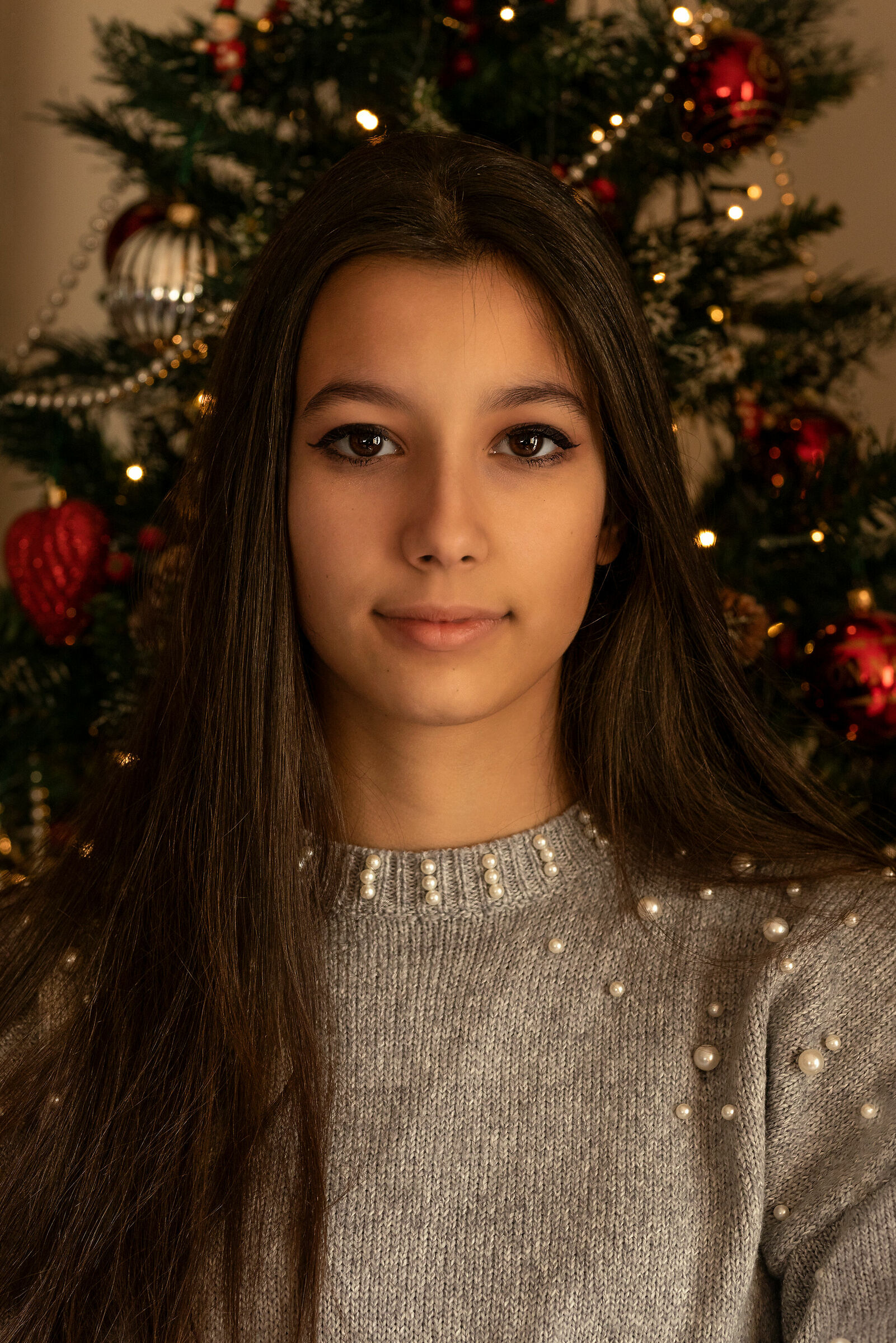 Ritratto semplice di Natale