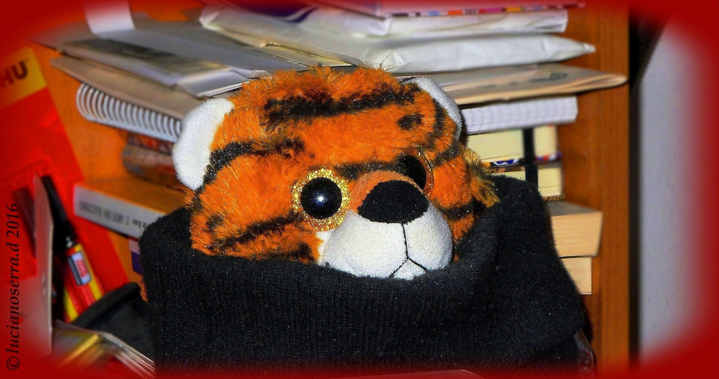 Igor... il tigrotto di peluche