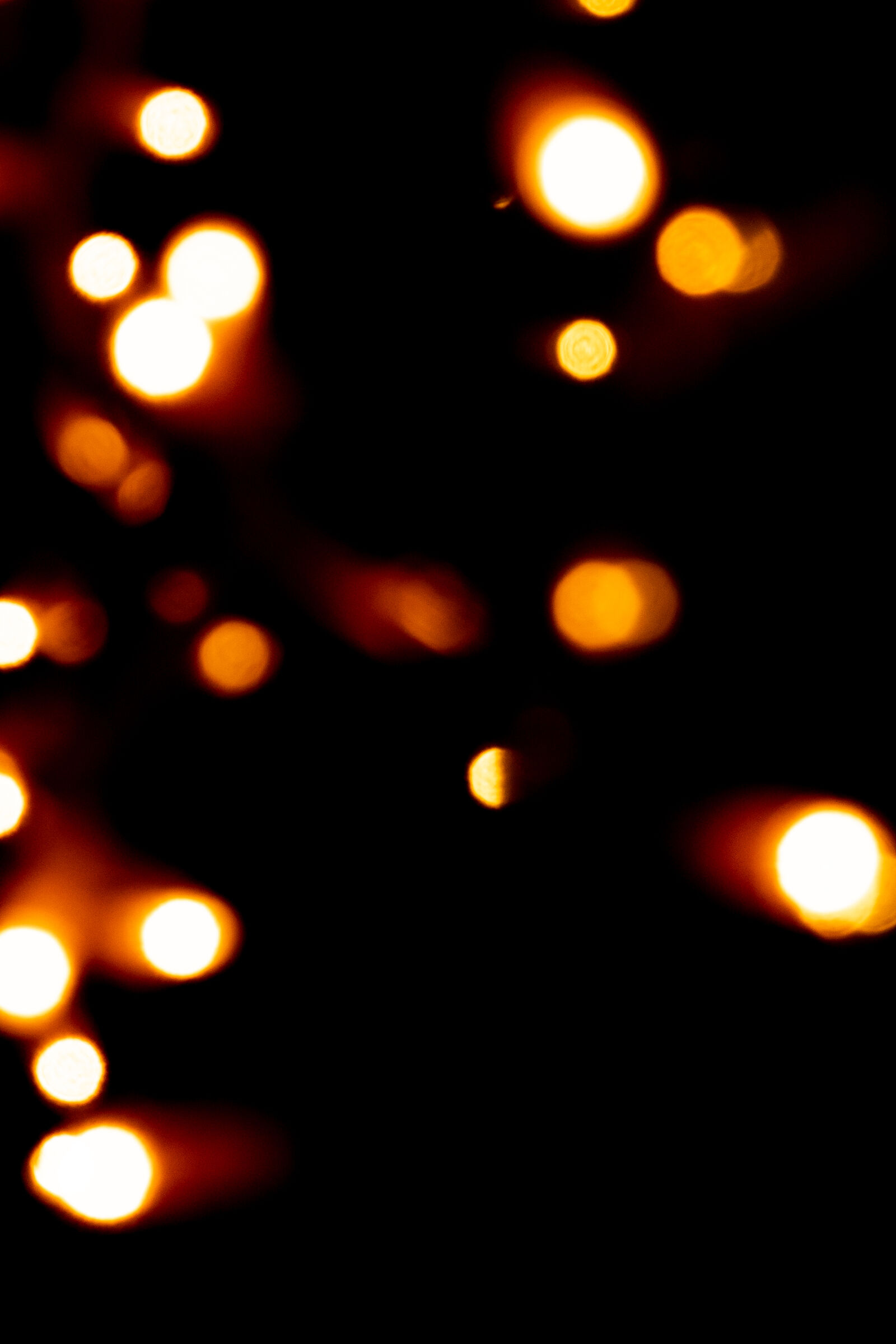 Untitled Photo