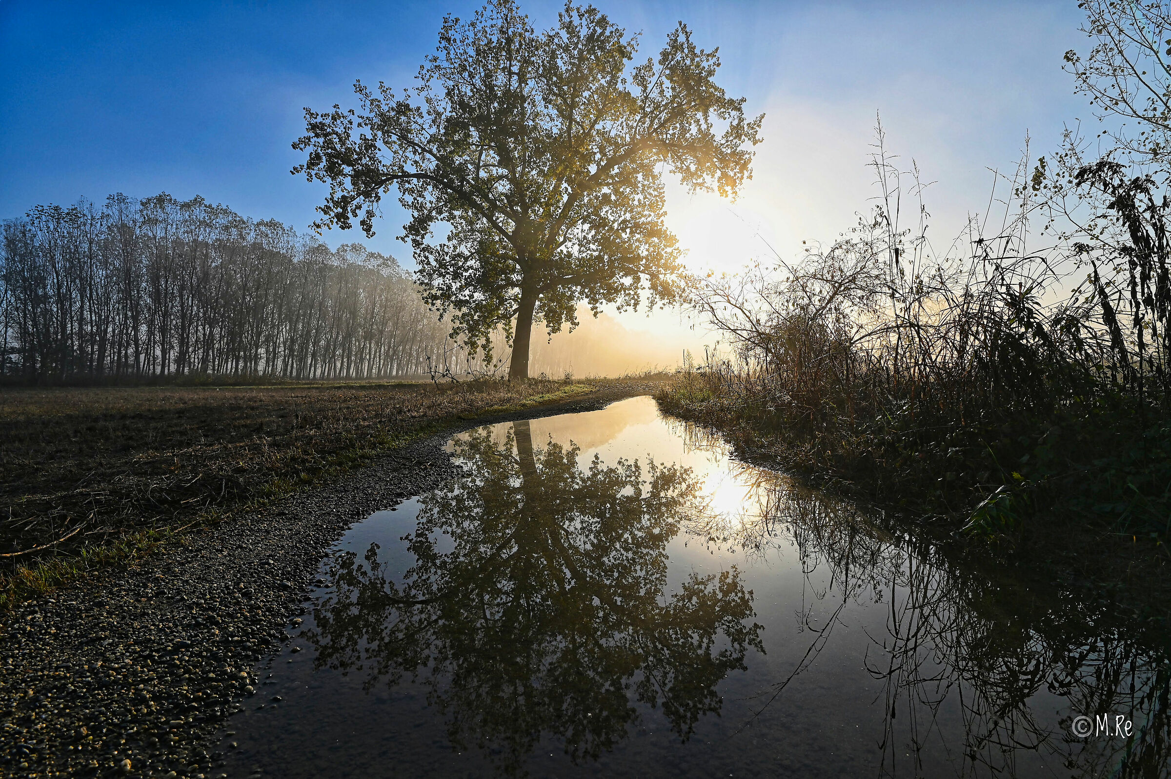 Riflessi