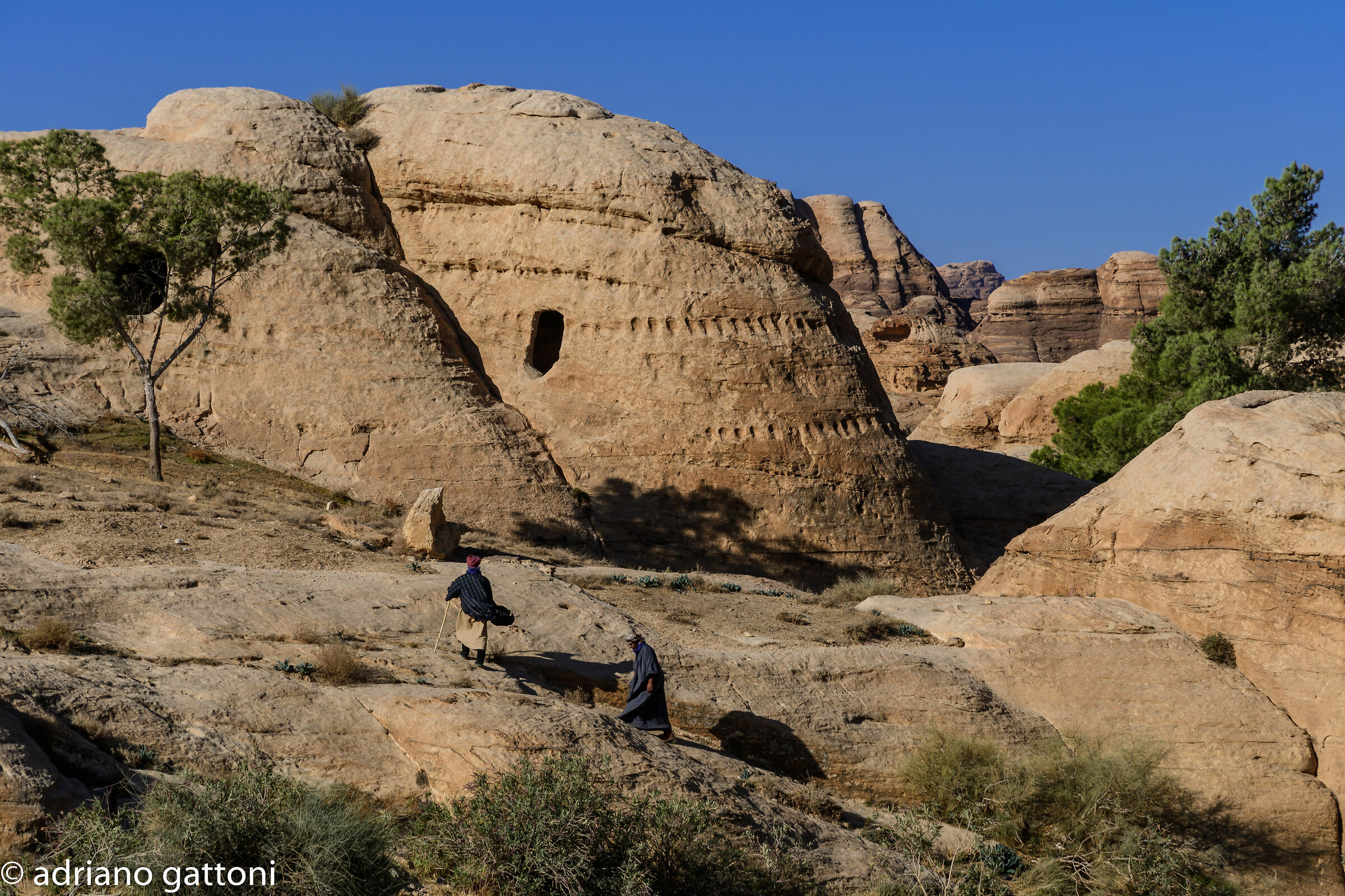 Petra looking for some shade