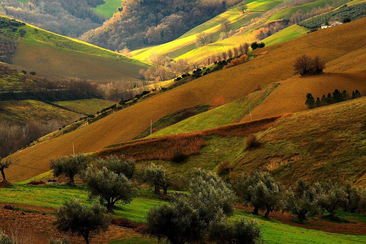 La nostra buona terra.