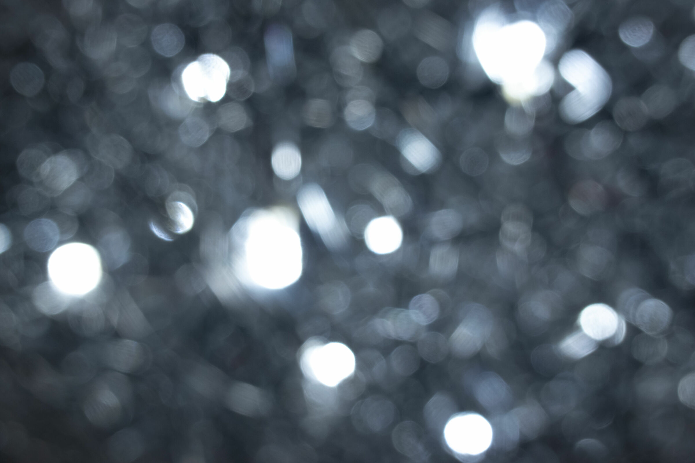 Untitled Photo
