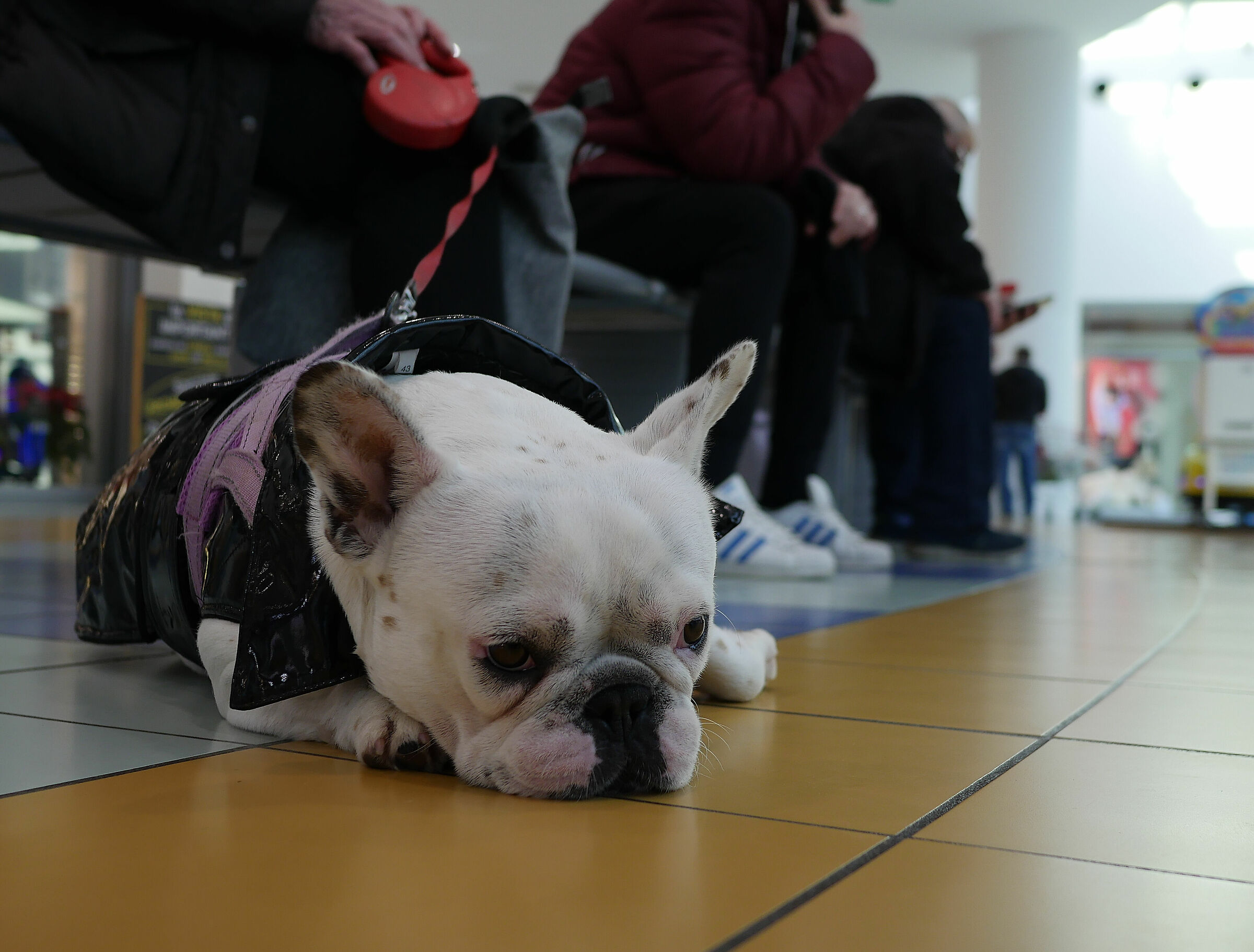 what boredom that beard... what a beard that boredom...