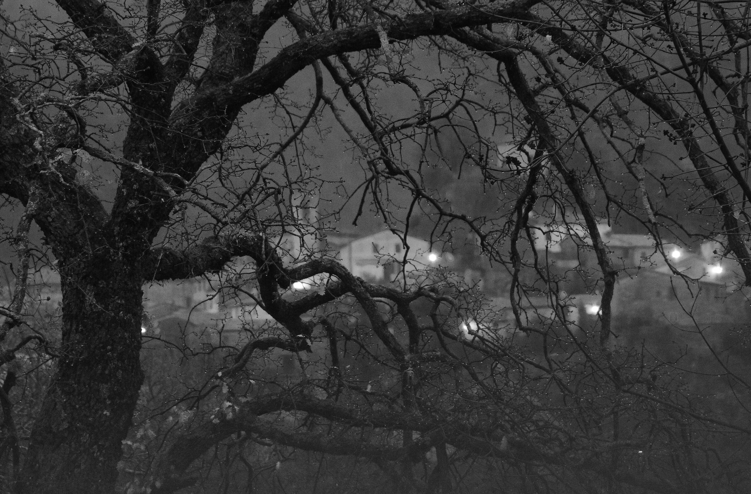 Non può piovere per sempre