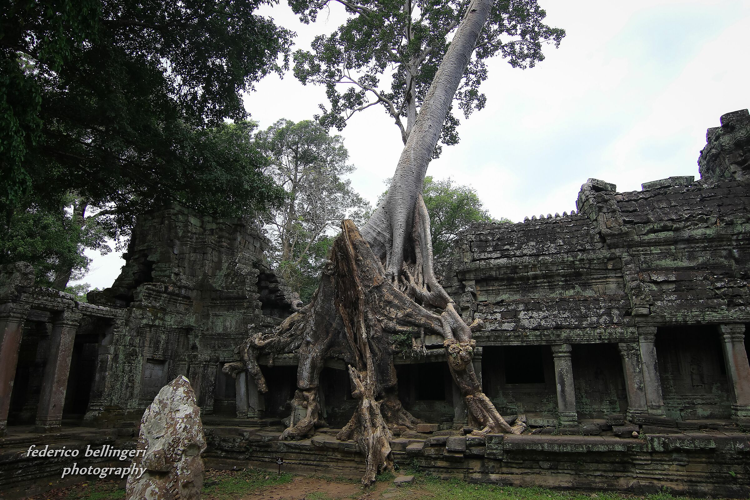 Siem Reap temples!